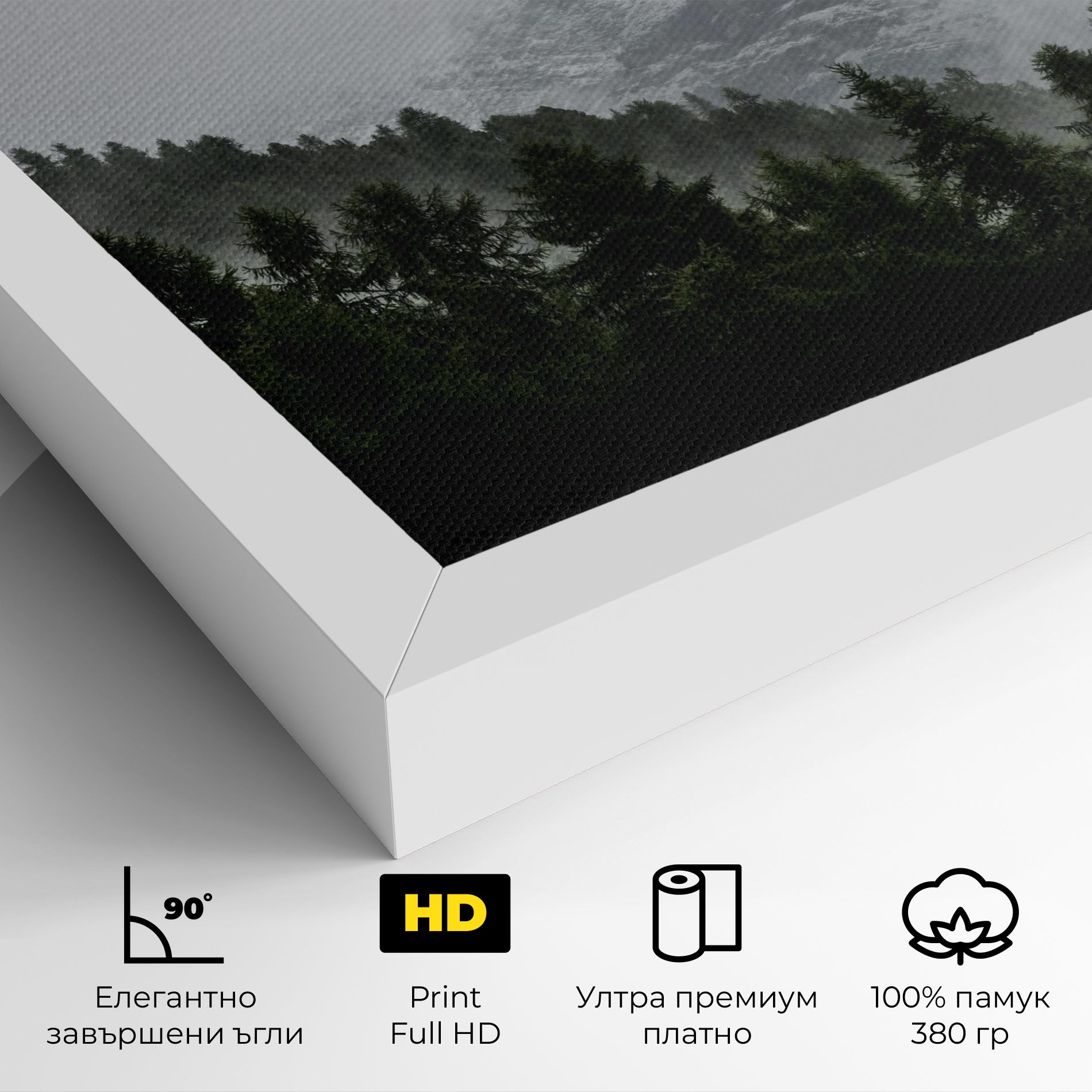 Foggy Mountain Forest mockup 4