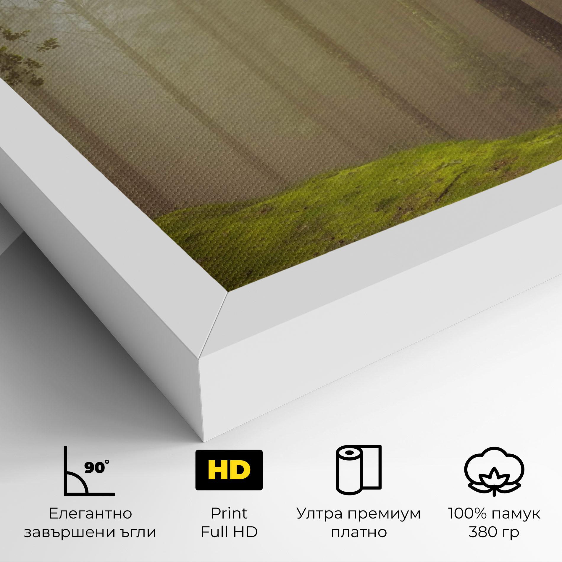 Картина на платно Foggy Tree Art mockup 4