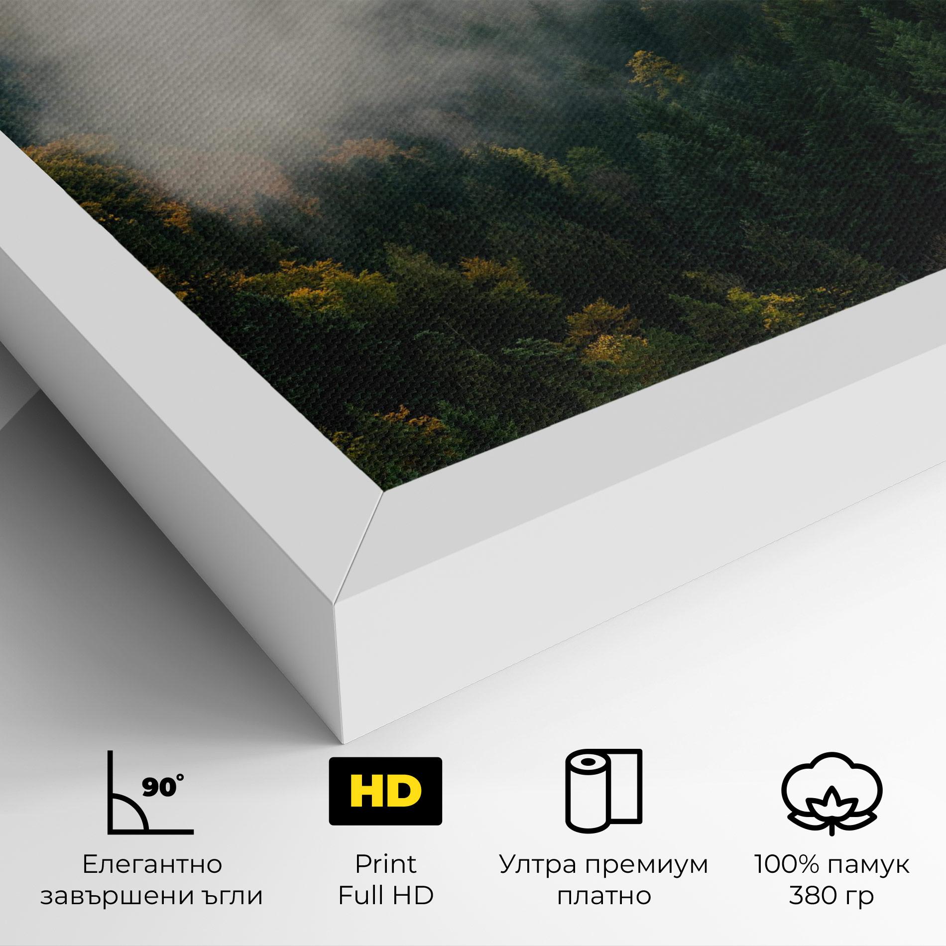 Картина на платно Foggy Tree Forest mockup 4
