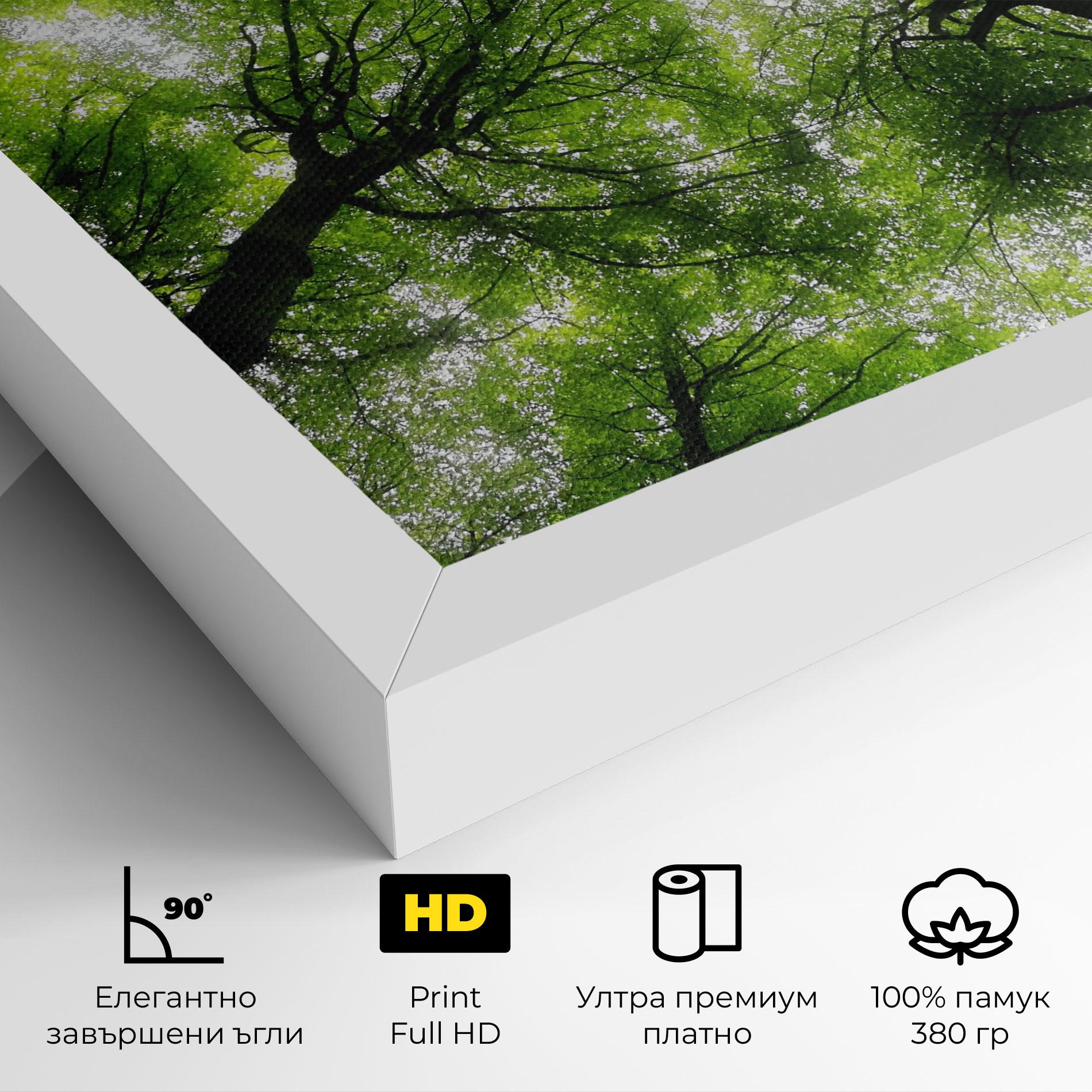 Картина на платно Forest Green Tree mockup 4