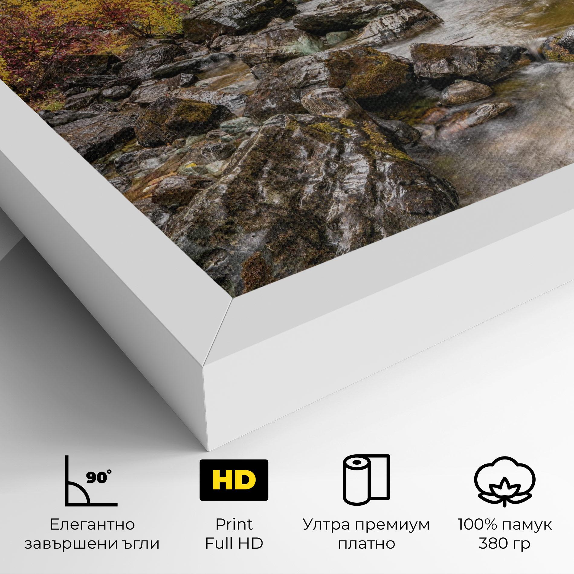 Картина на платно Forest Lake Rocks mockup 4