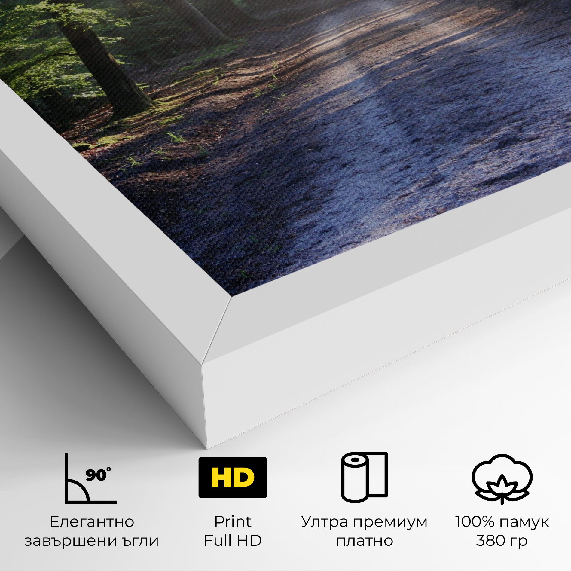 Forest Road mockup 4