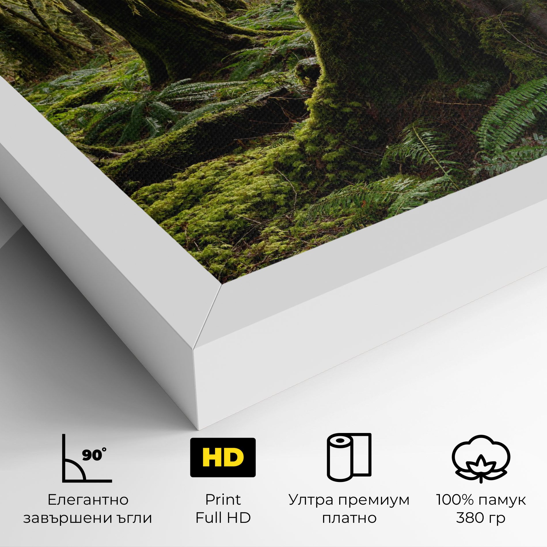 Green Moss Forest mockup 4