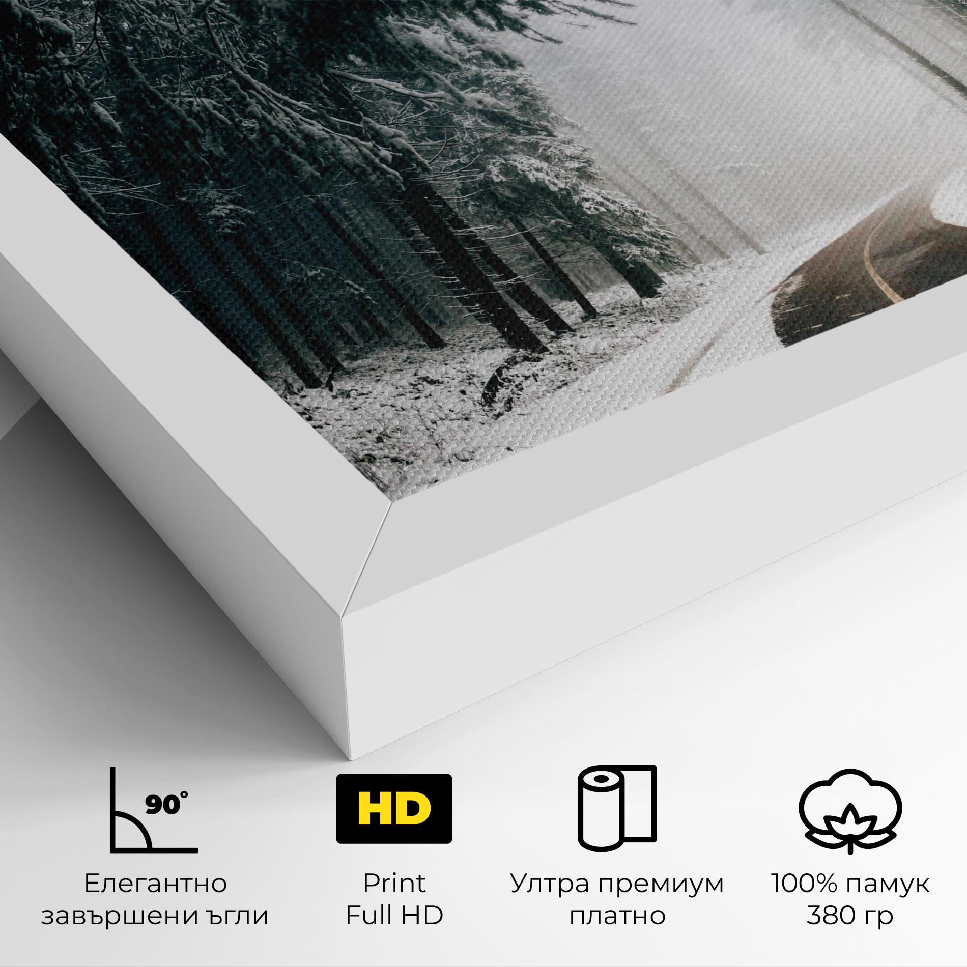 Картина на платно Snow Road Dorest mockup 4