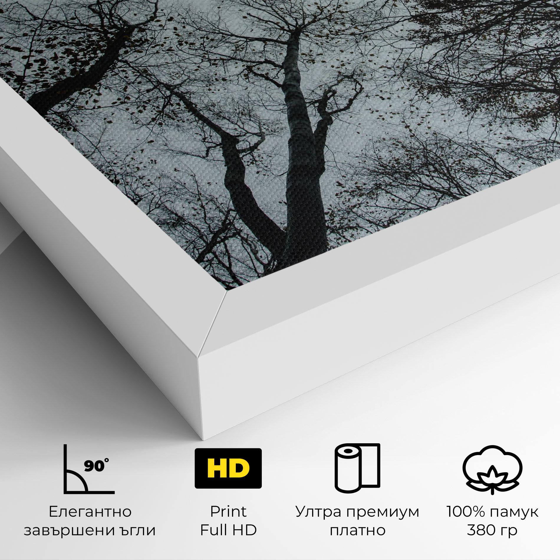 Картина на платно Trees Touching mockup 4