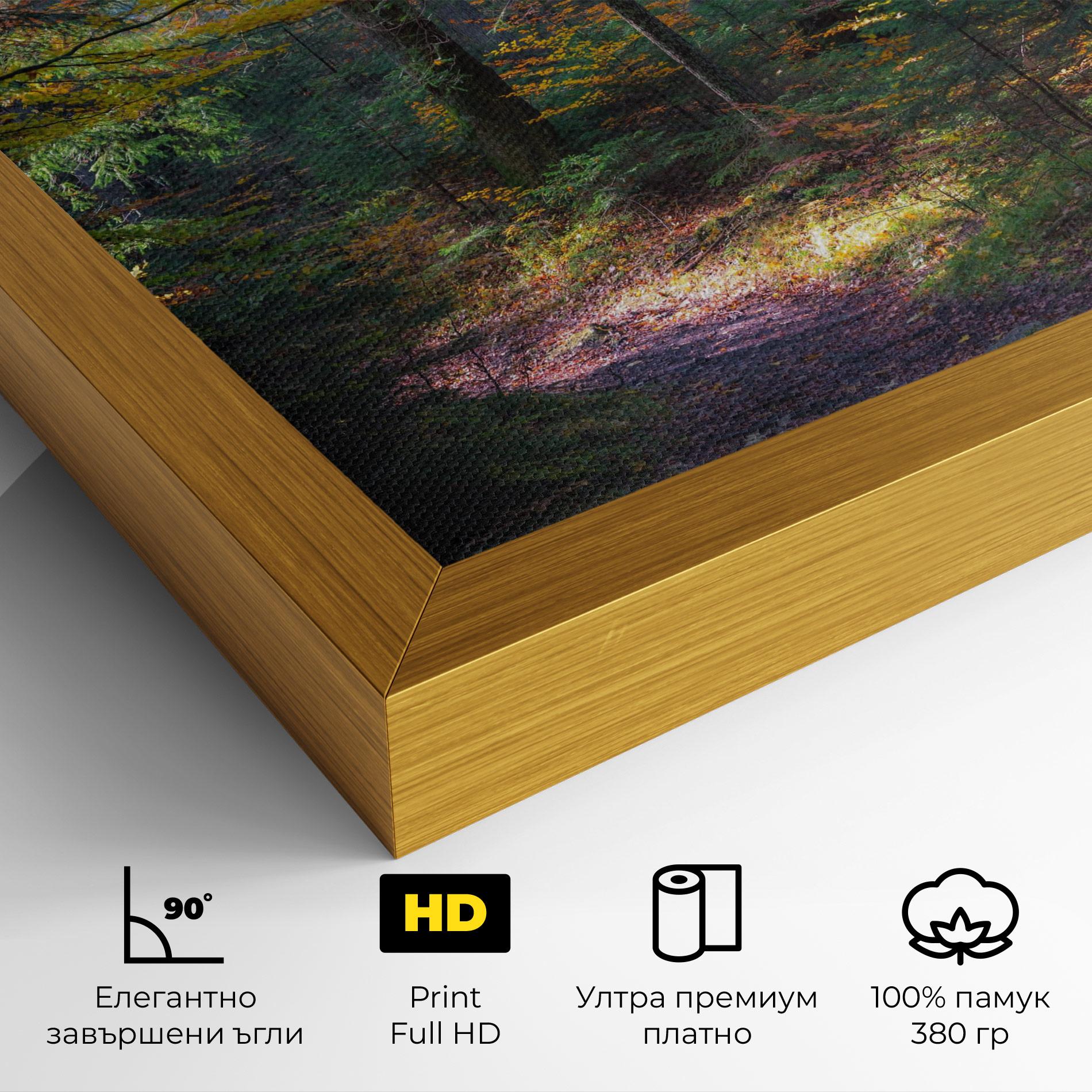 Картина на платно Dreamy Path Dorest mockup 4