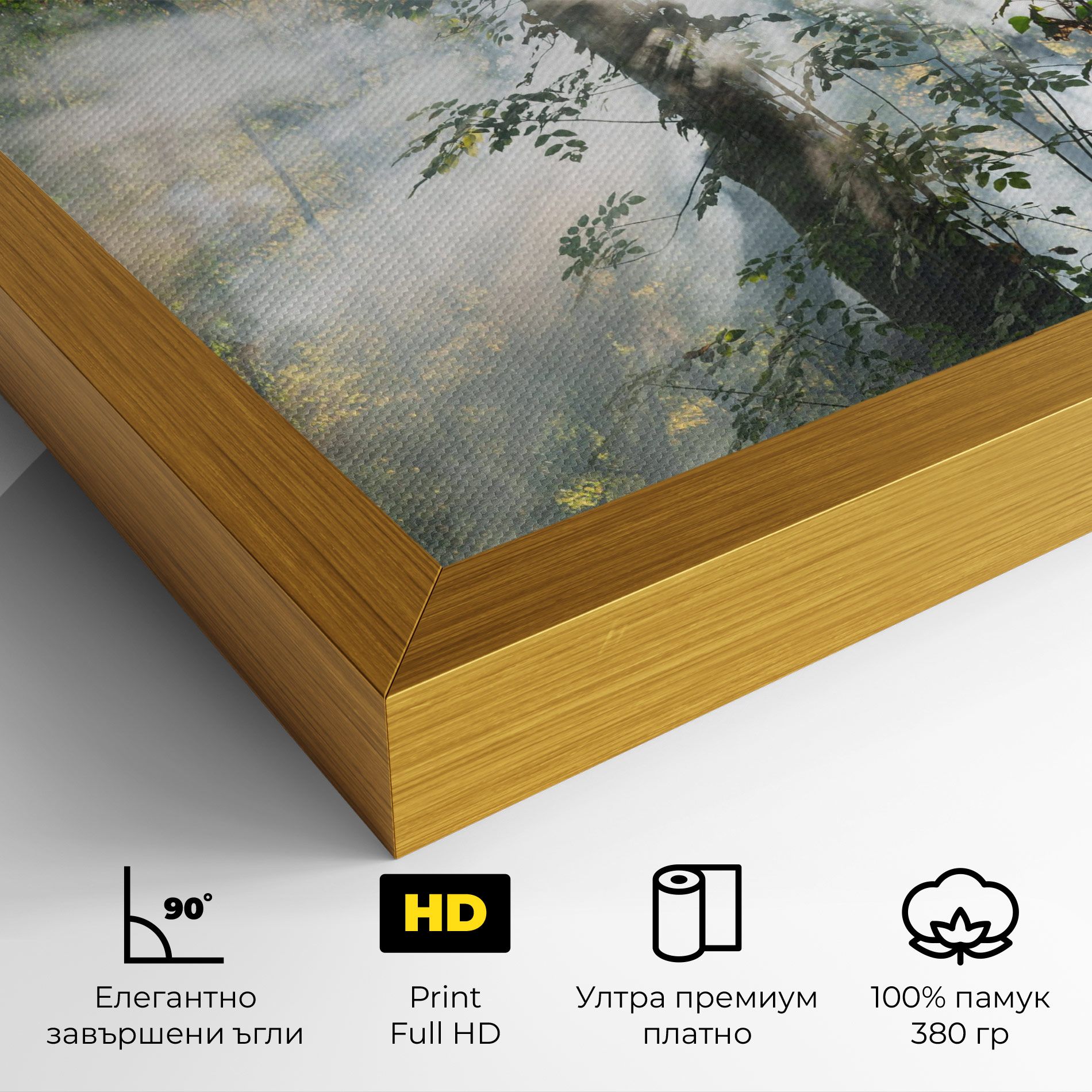Foggy Light Forest mockup 4