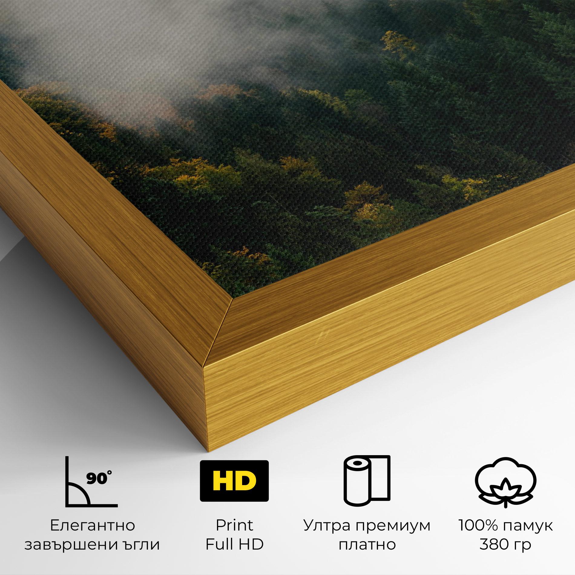 Картина на платно Foggy Tree Forest mockup 4