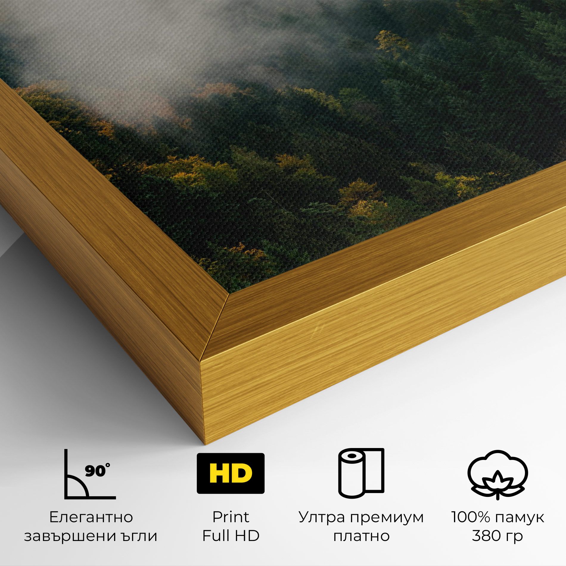 Foggy Tree Forest mockup 4