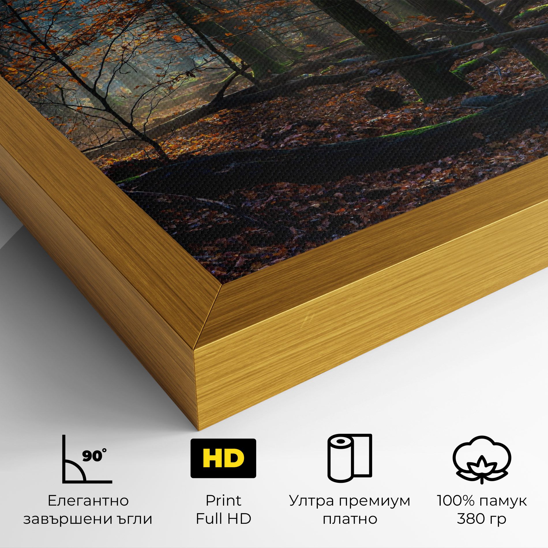 Forest Autumn Day mockup 4
