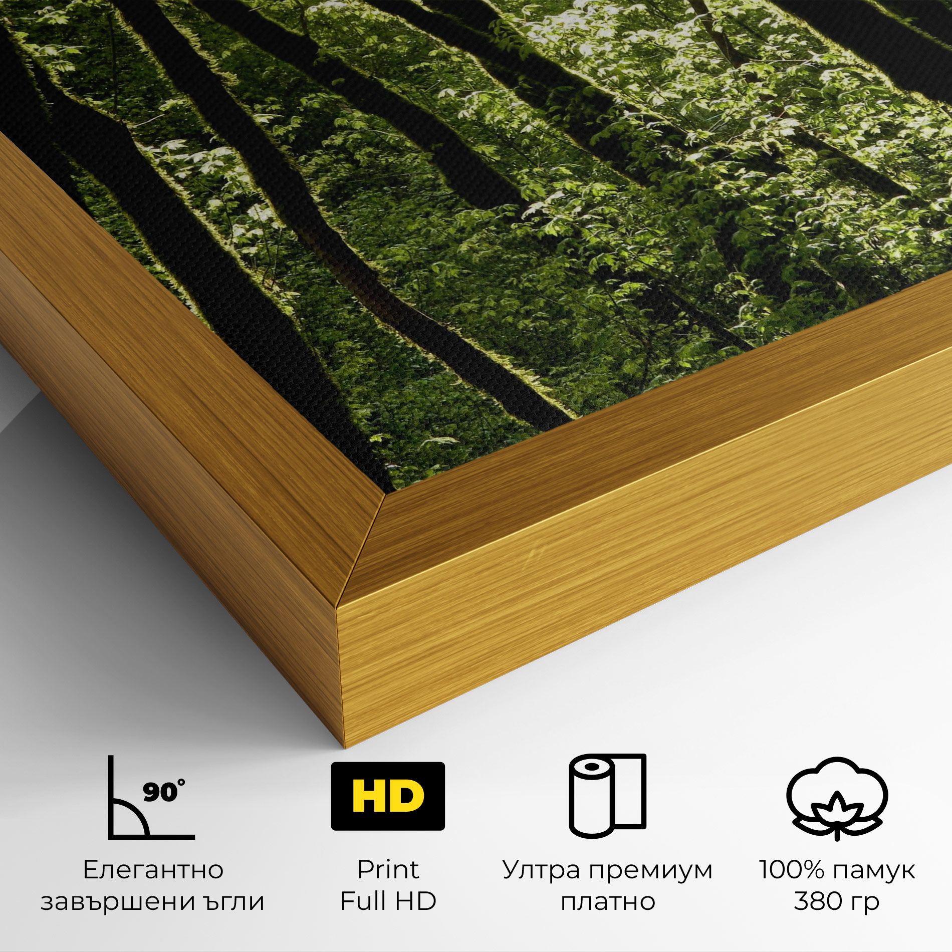 Forest Black Trees mockup 4