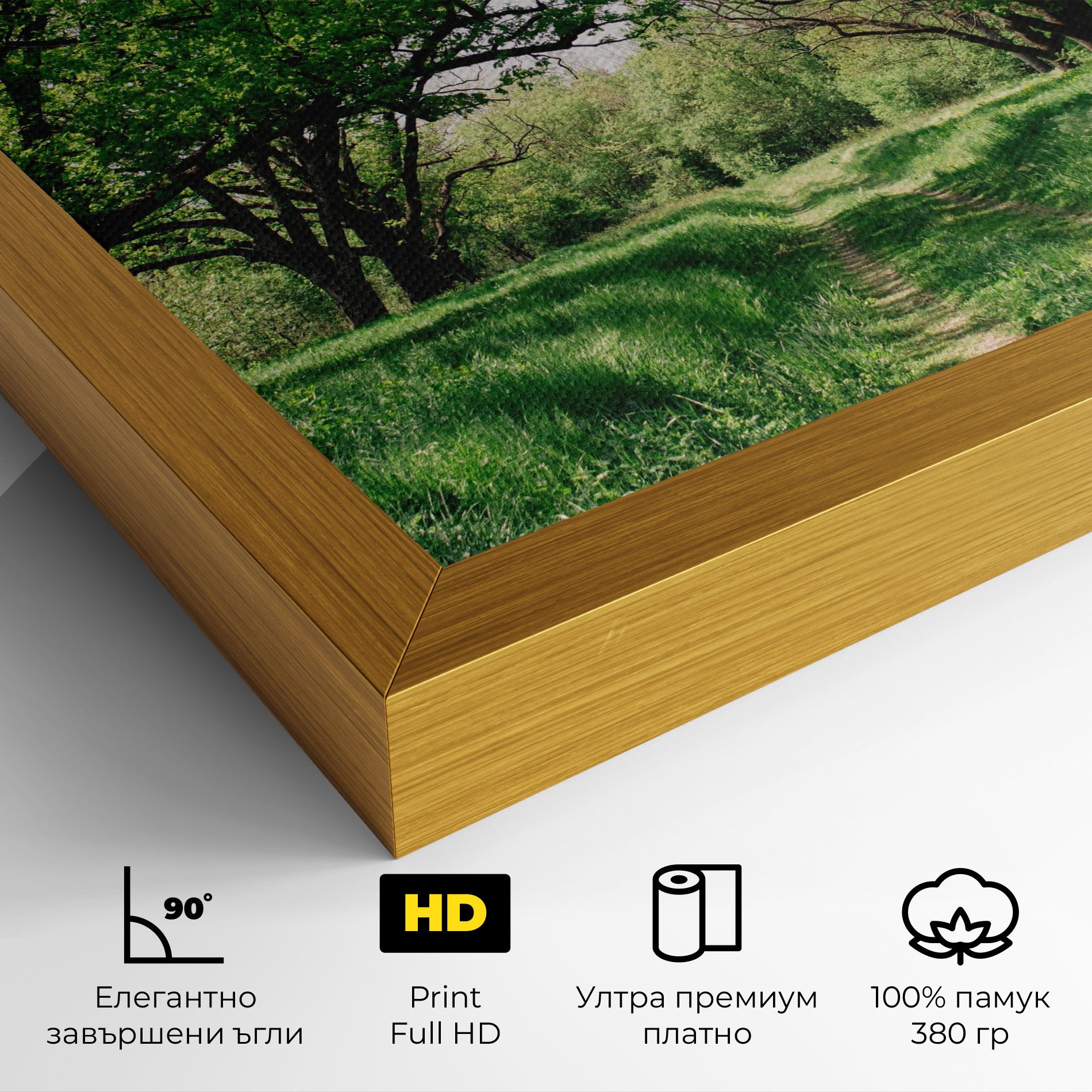 Forest Green Path mockup 4