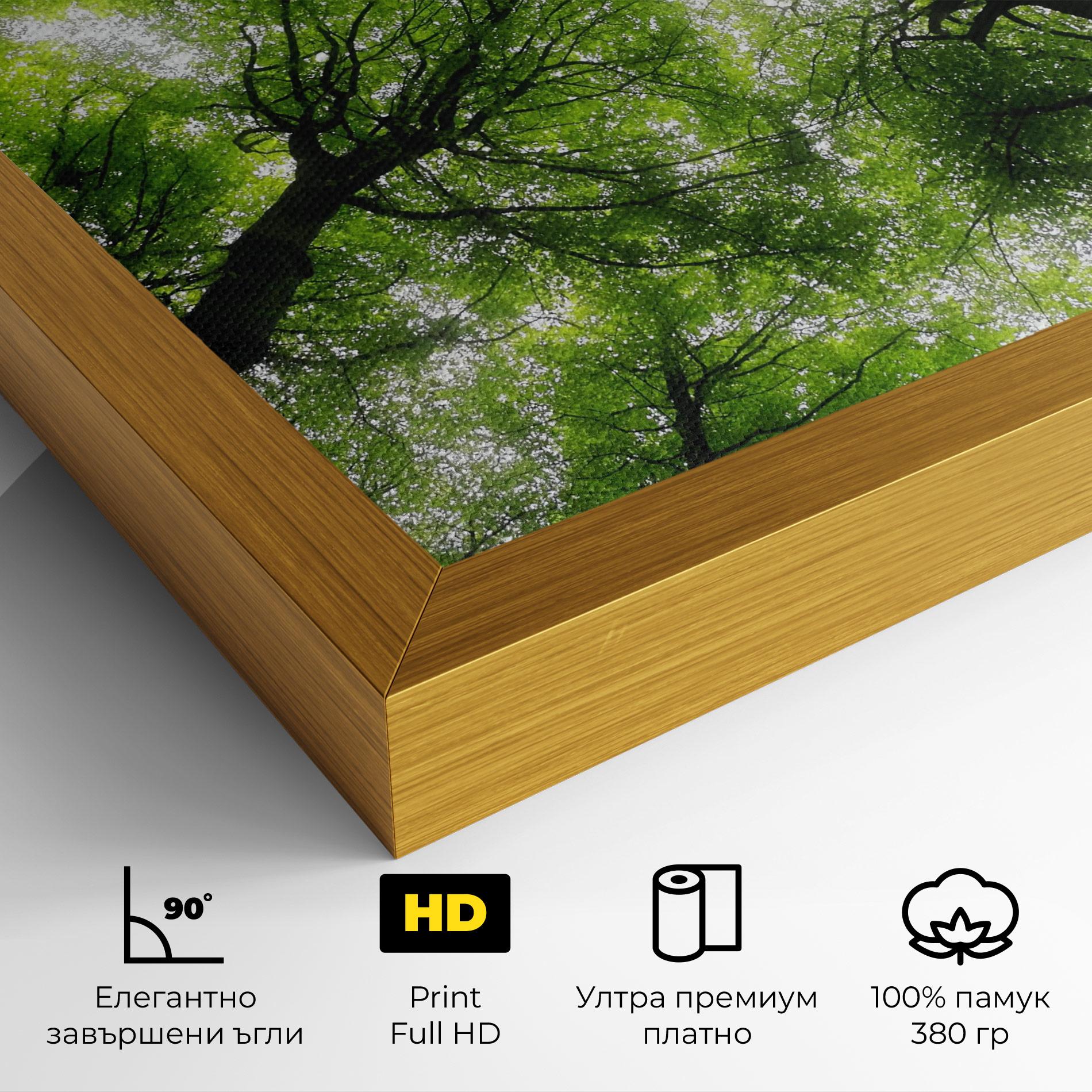 Картина на платно Forest Green Tree mockup 4