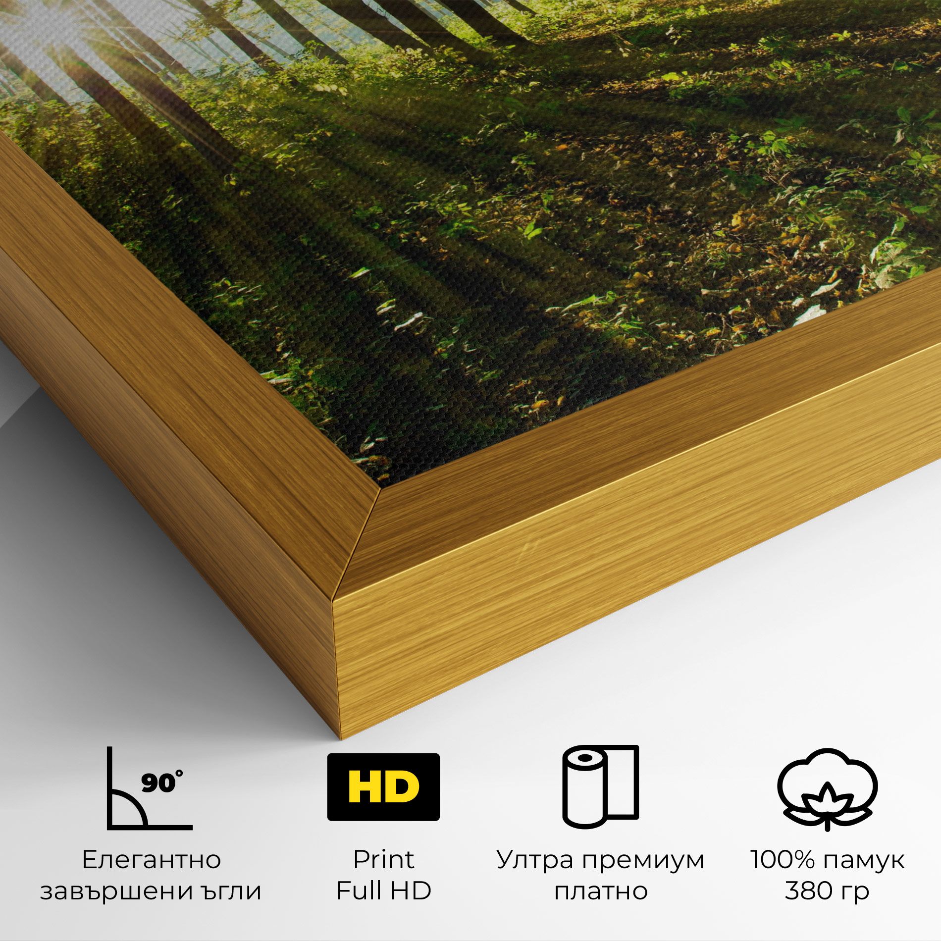 Green Light Forest mockup 4