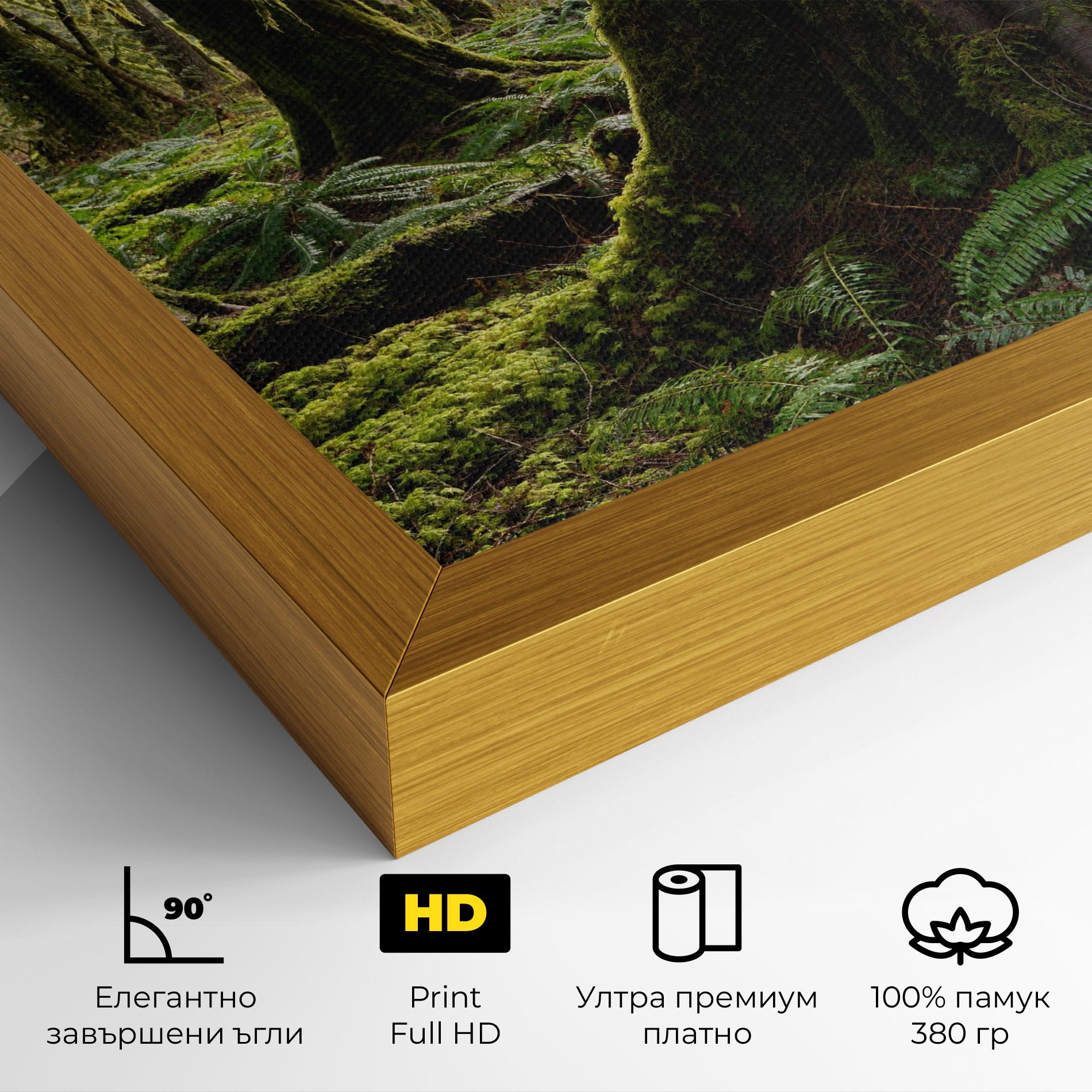 Картина на платно Green Moss Forest mockup 4