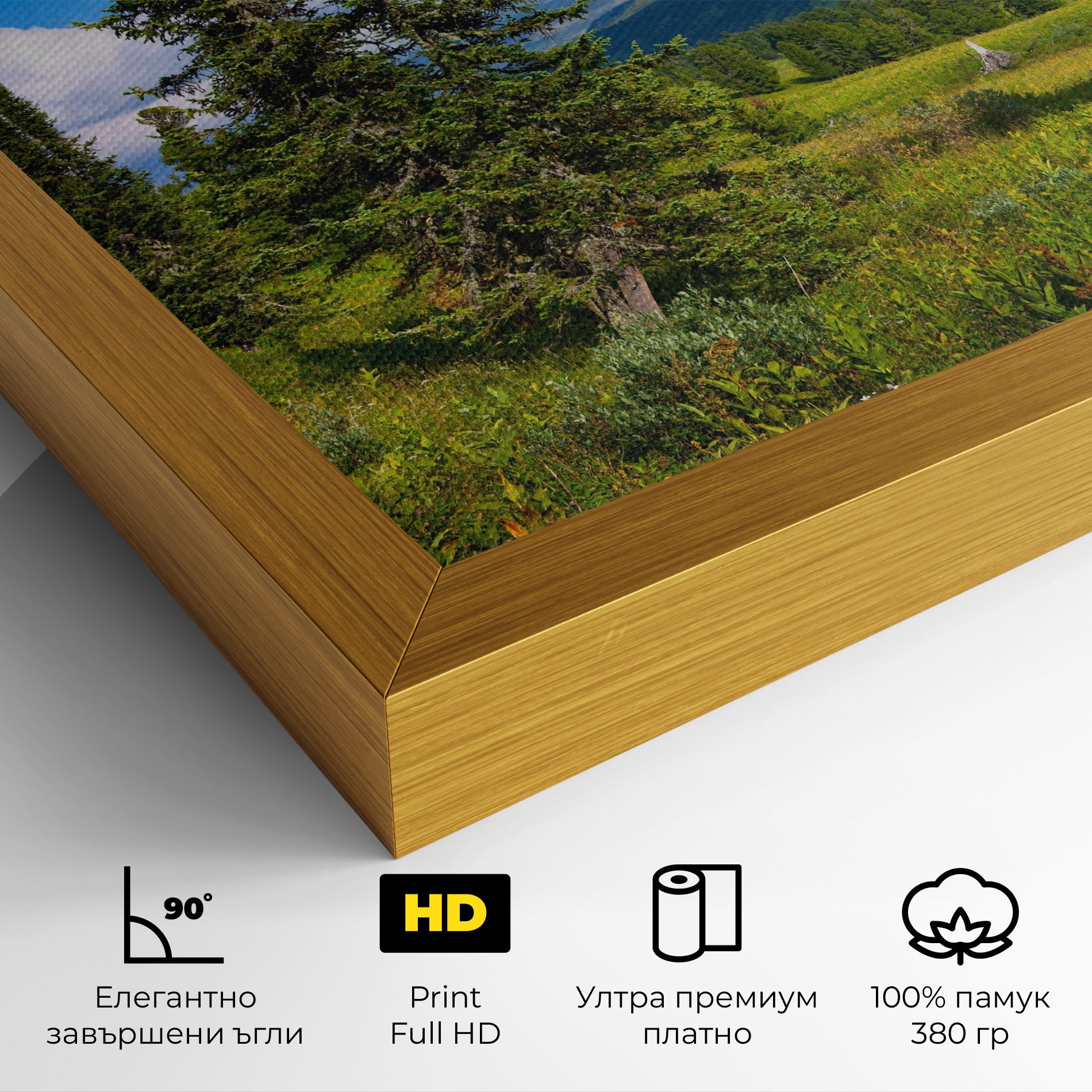 Morning Sunny Field mockup 4