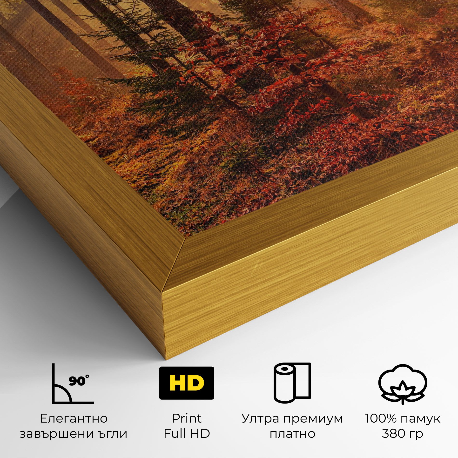 Orange Light Forest mockup 4