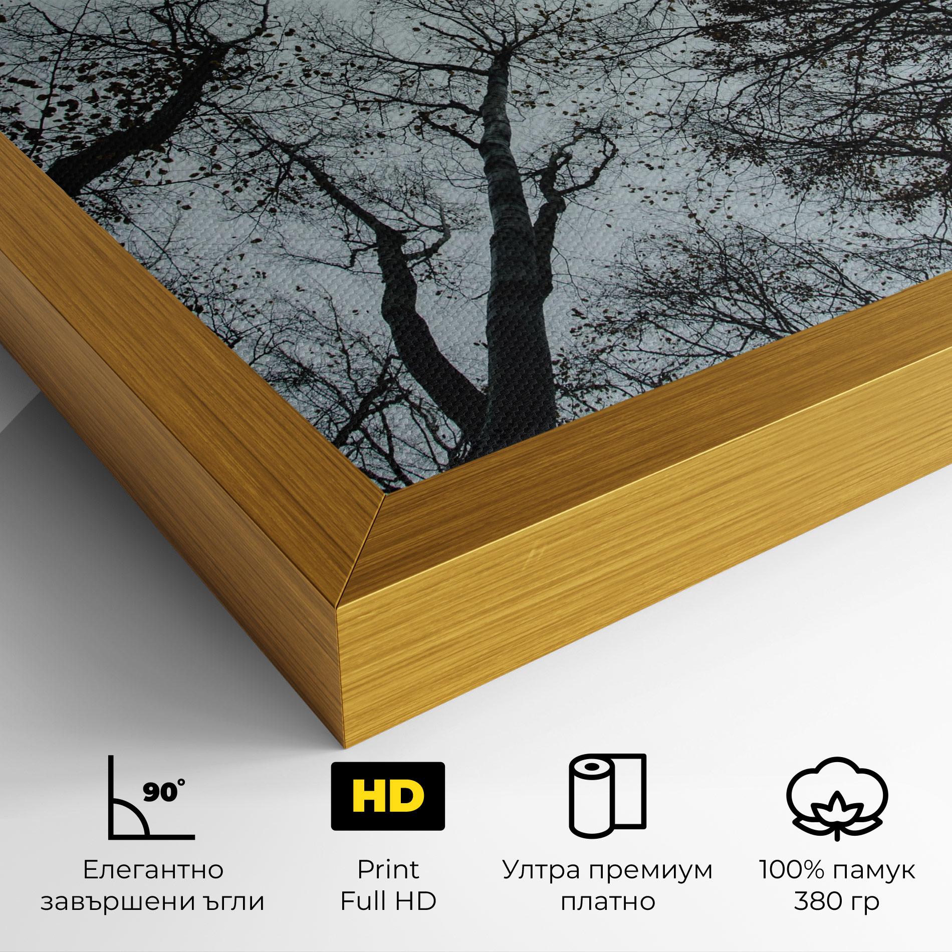 Картина на платно Trees Touching mockup 4