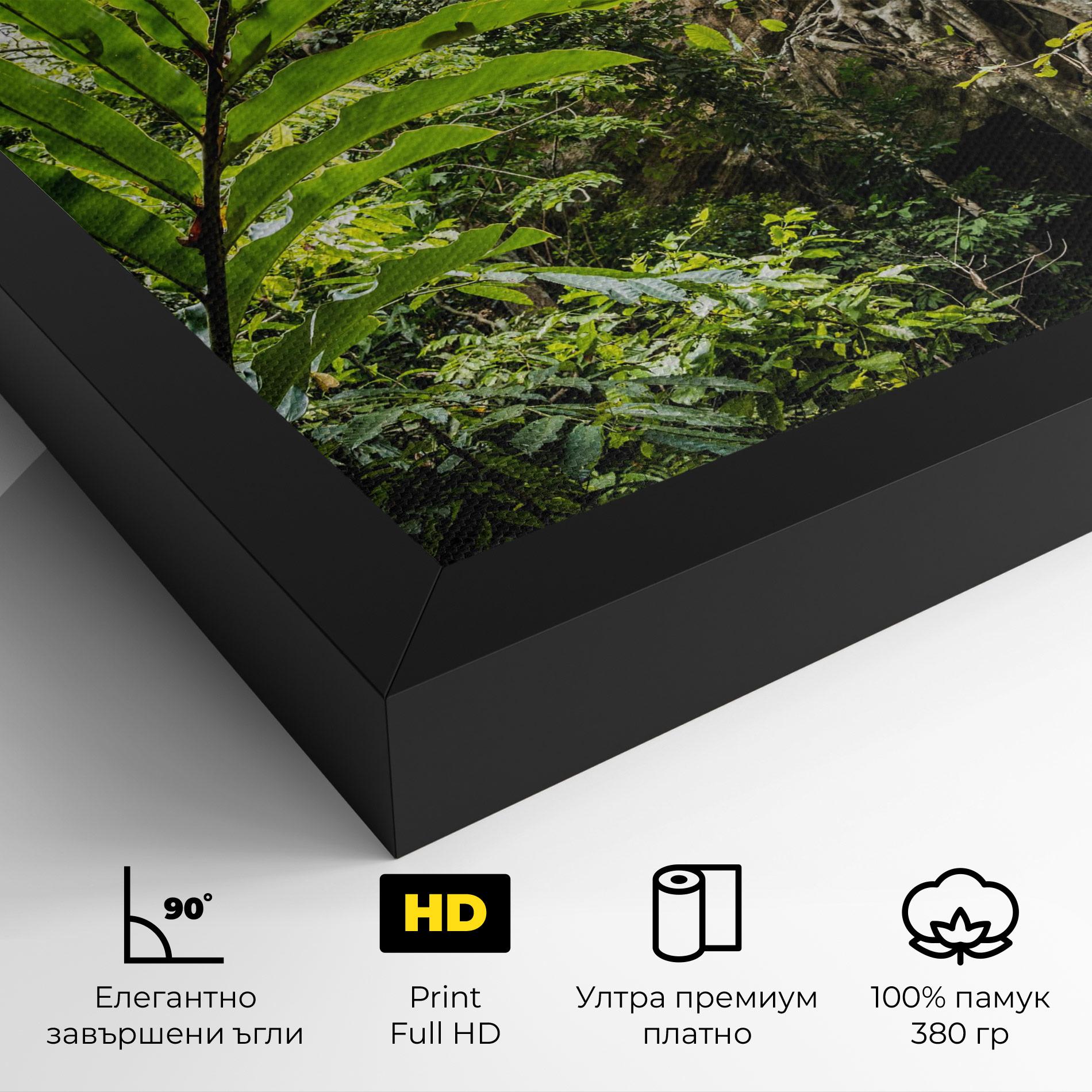 Картина на платно Big Leaf Forest mockup 4