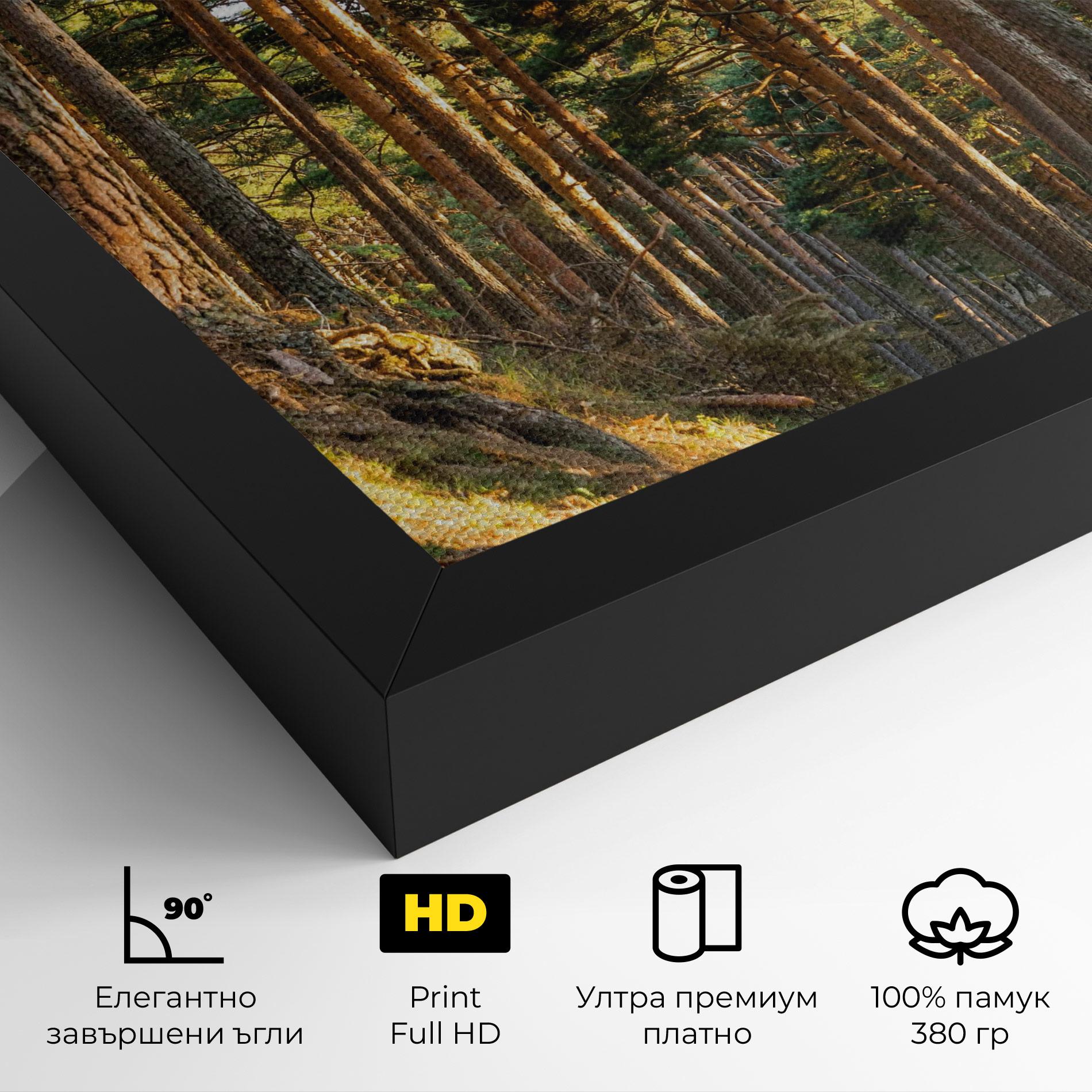 Картина на платно Big Trees Forest mockup 4