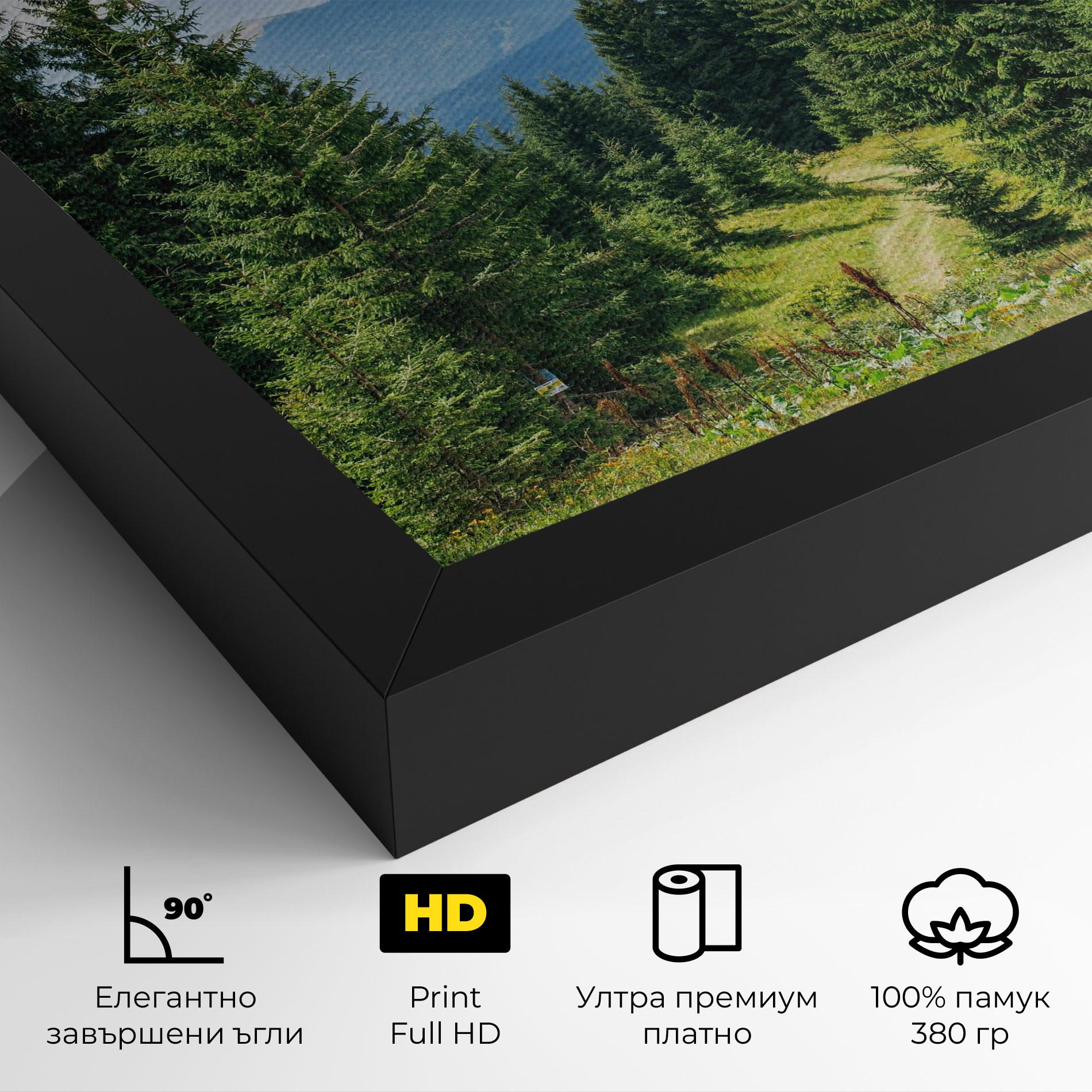 Картина на платно Carpathian Mountain mockup 4