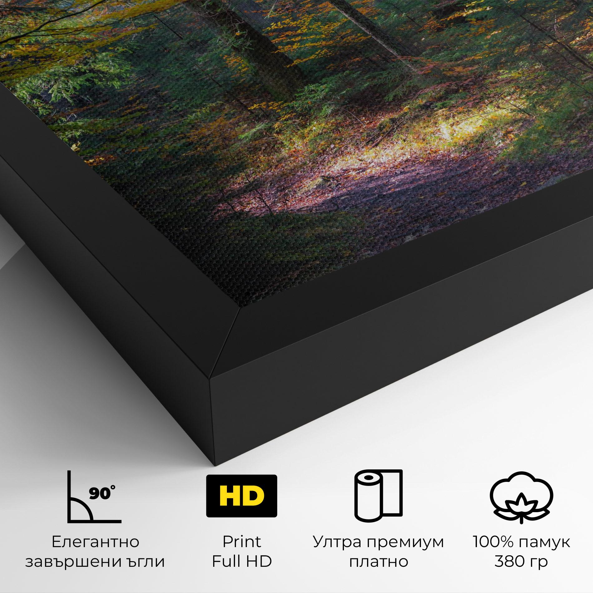 Картина на платно Dreamy Path Dorest mockup 4