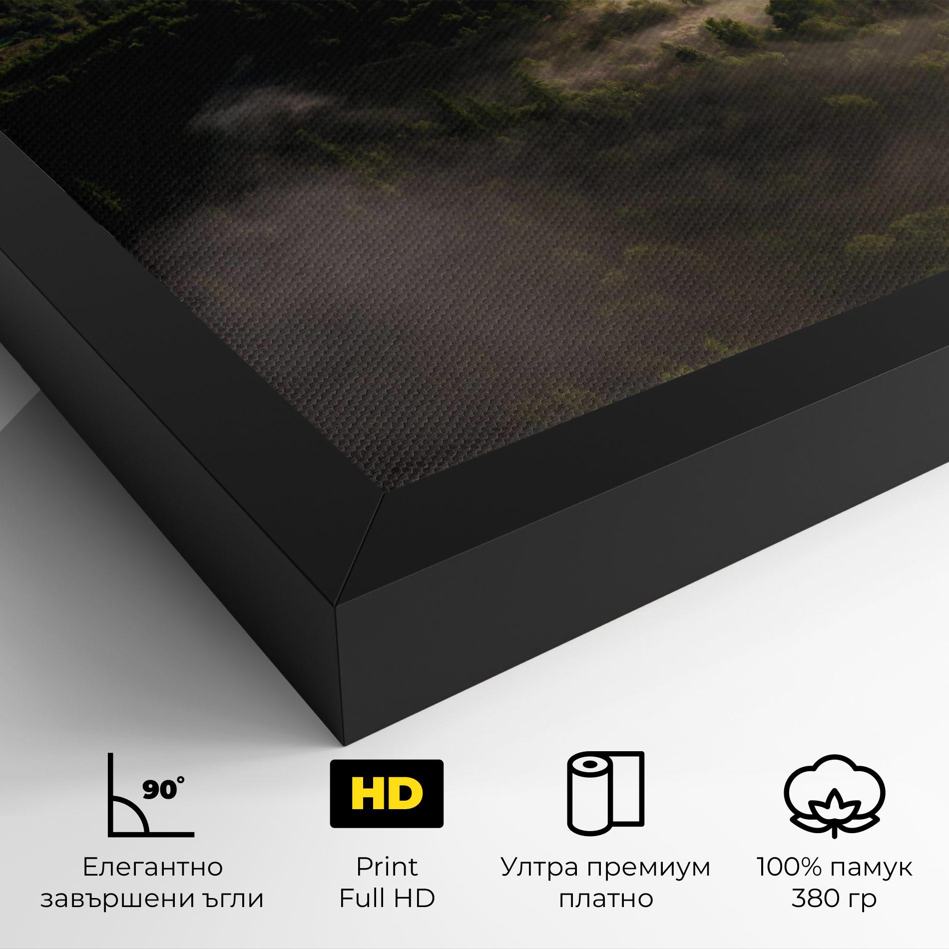 Картина на платно Foggy Forest View mockup 4