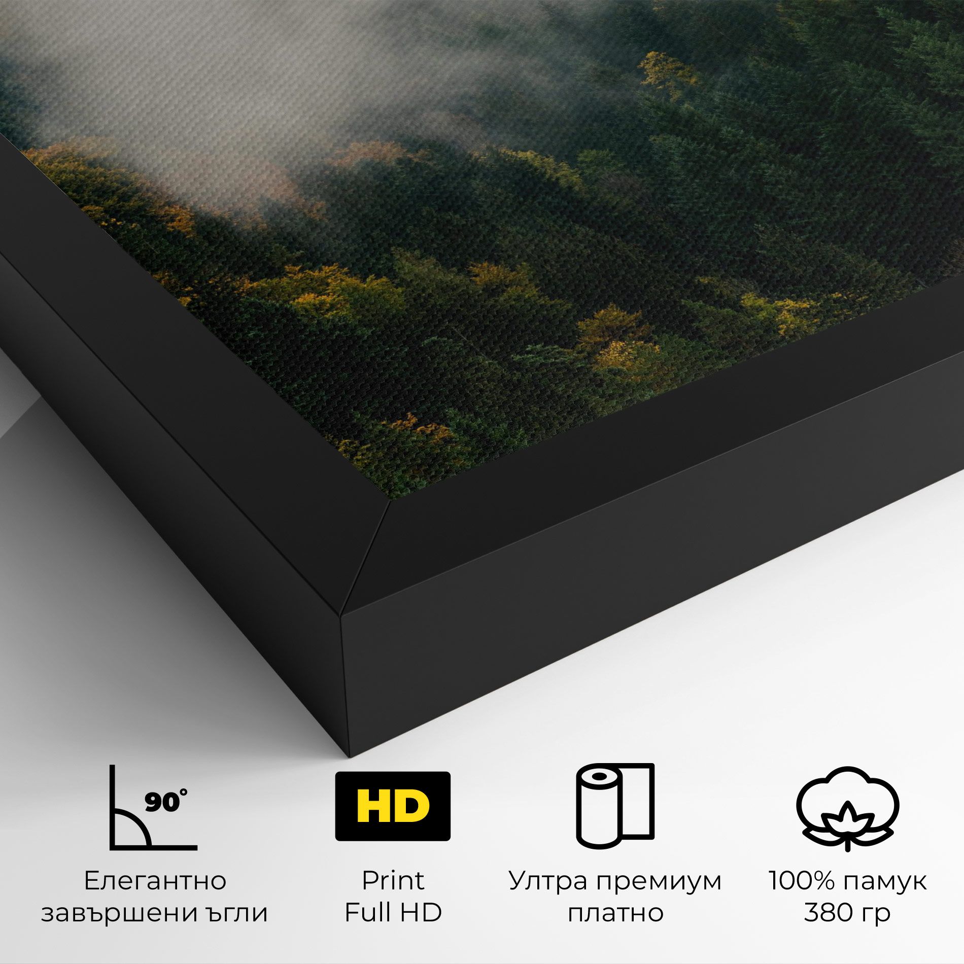 Foggy Tree Forest mockup 4