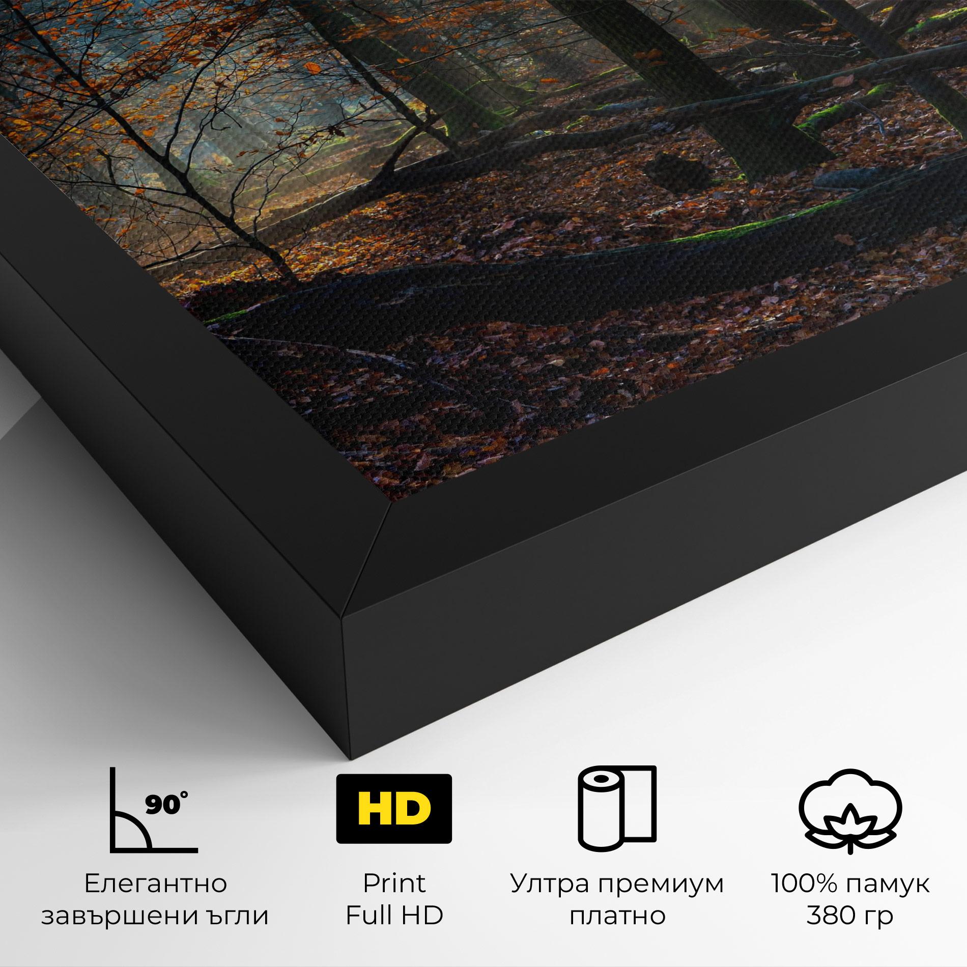 Картина на платно Forest Autumn Day mockup 4