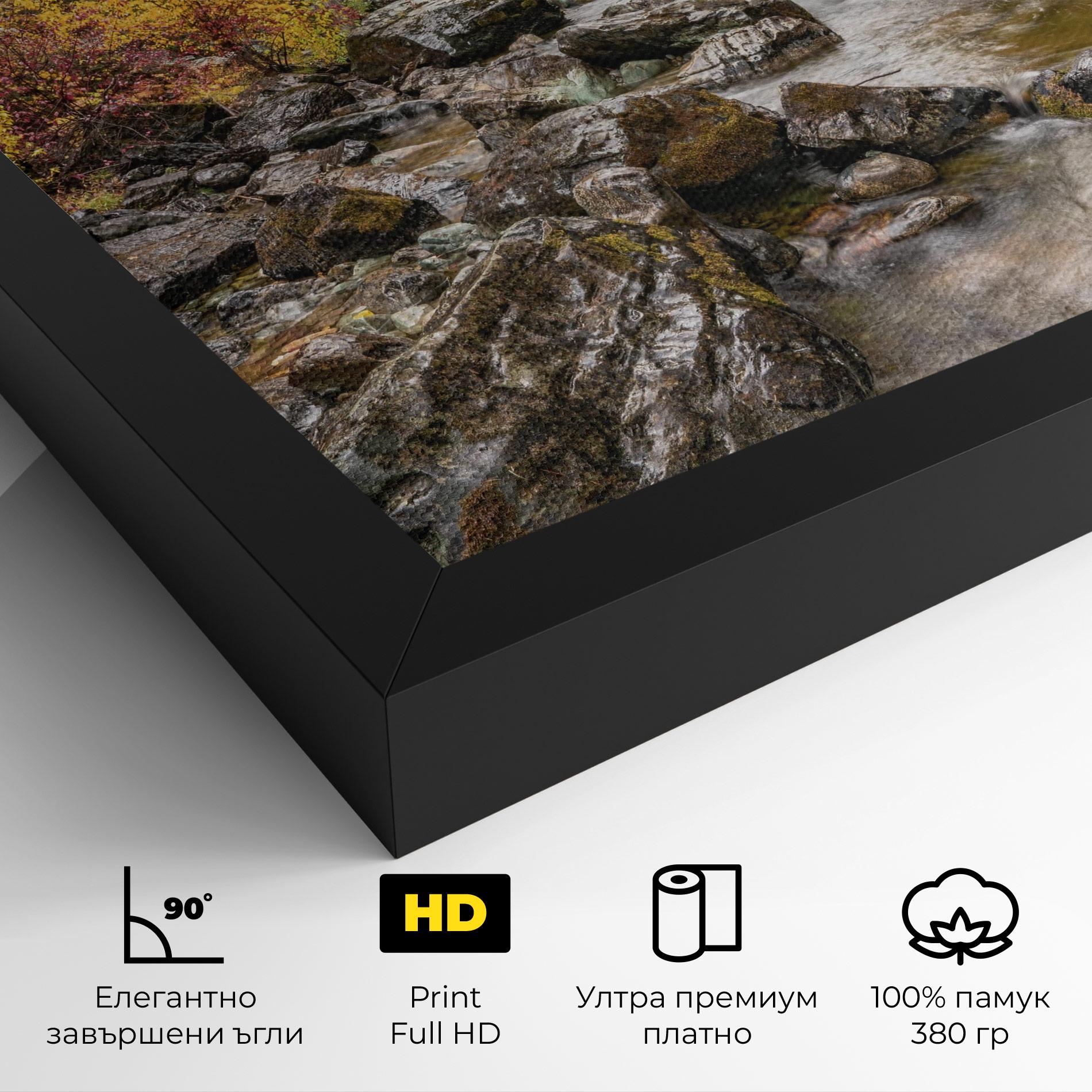 Картина на платно Forest Lake Rocks mockup 4