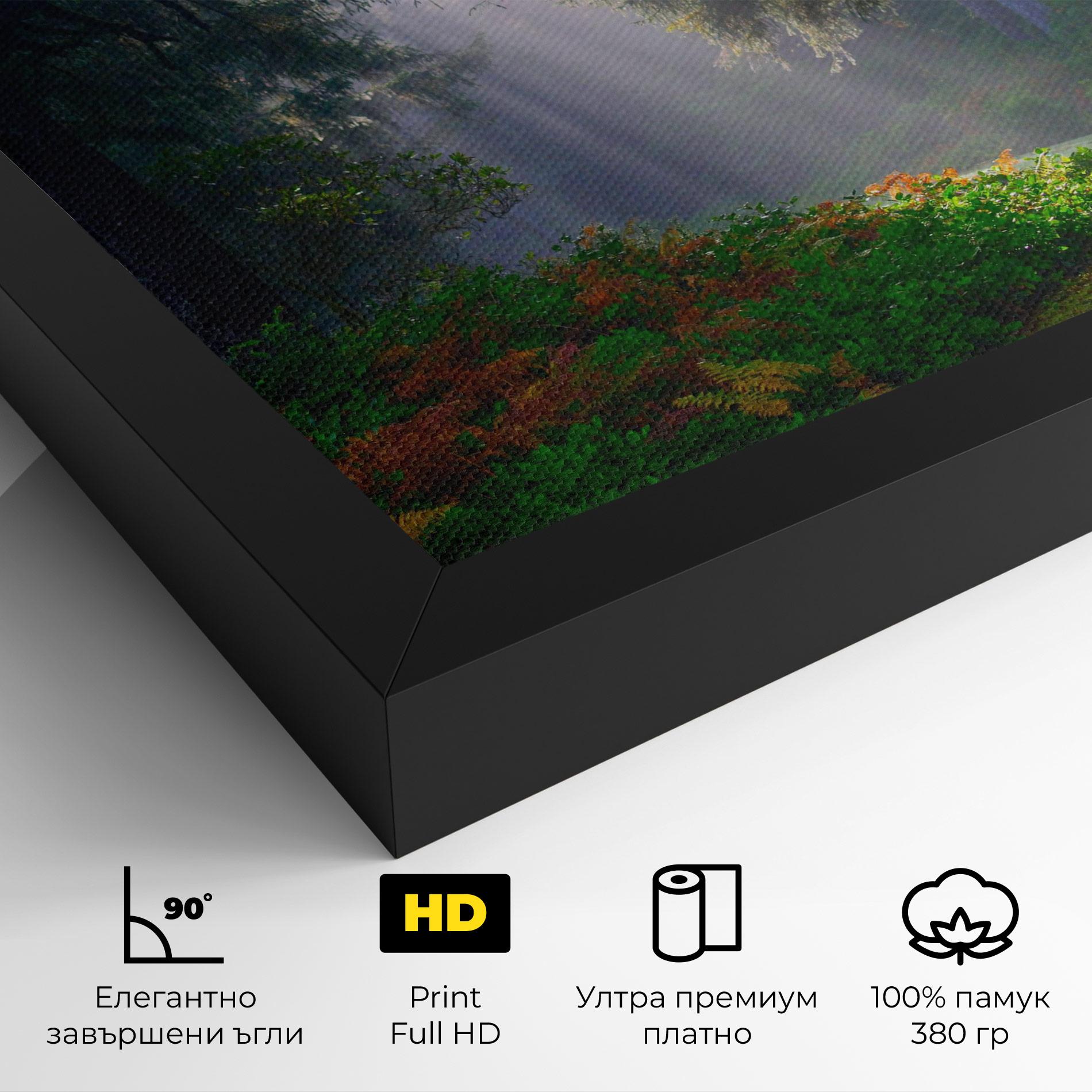 Картина на платно Forest Light mockup 4