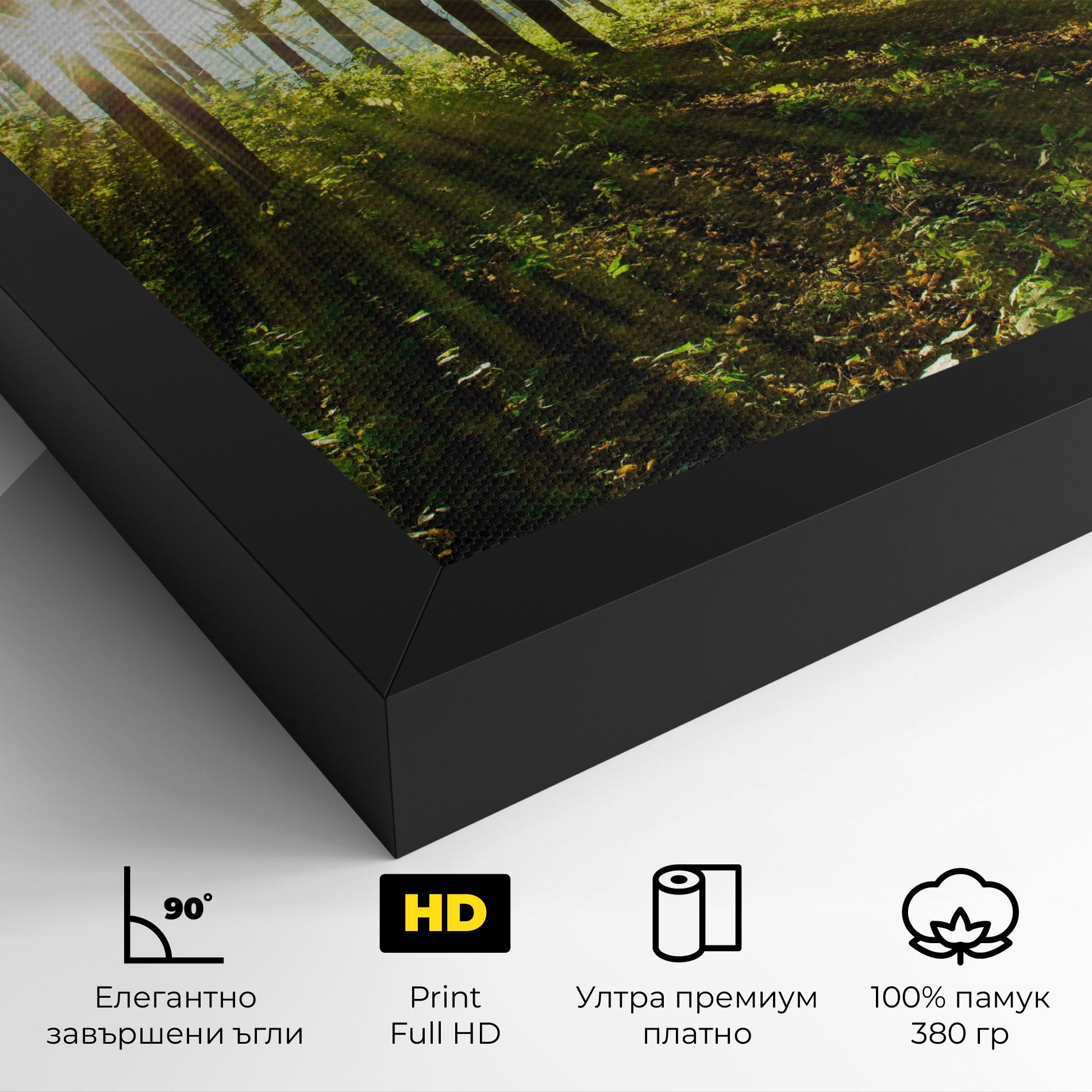 Картина на платно Green Light Forest mockup 4