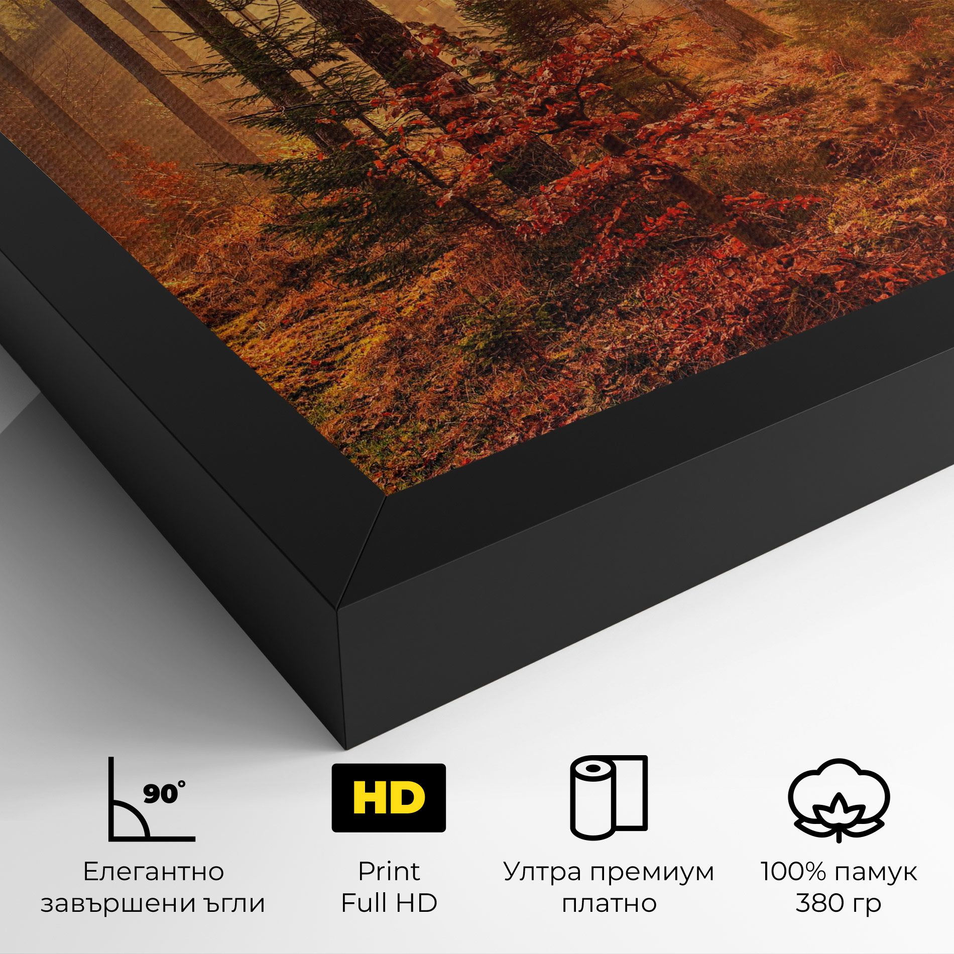 Orange Light Forest mockup 4