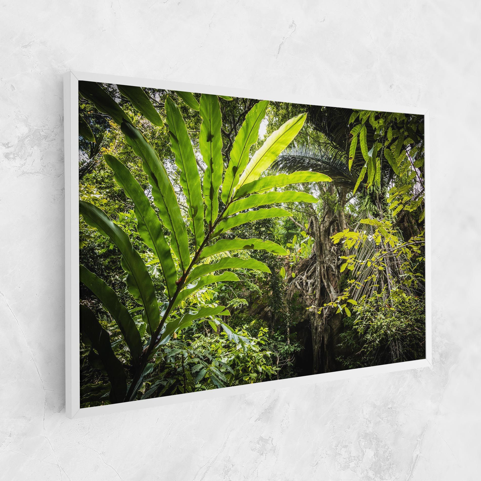 Big Leaf Forest mockup 1