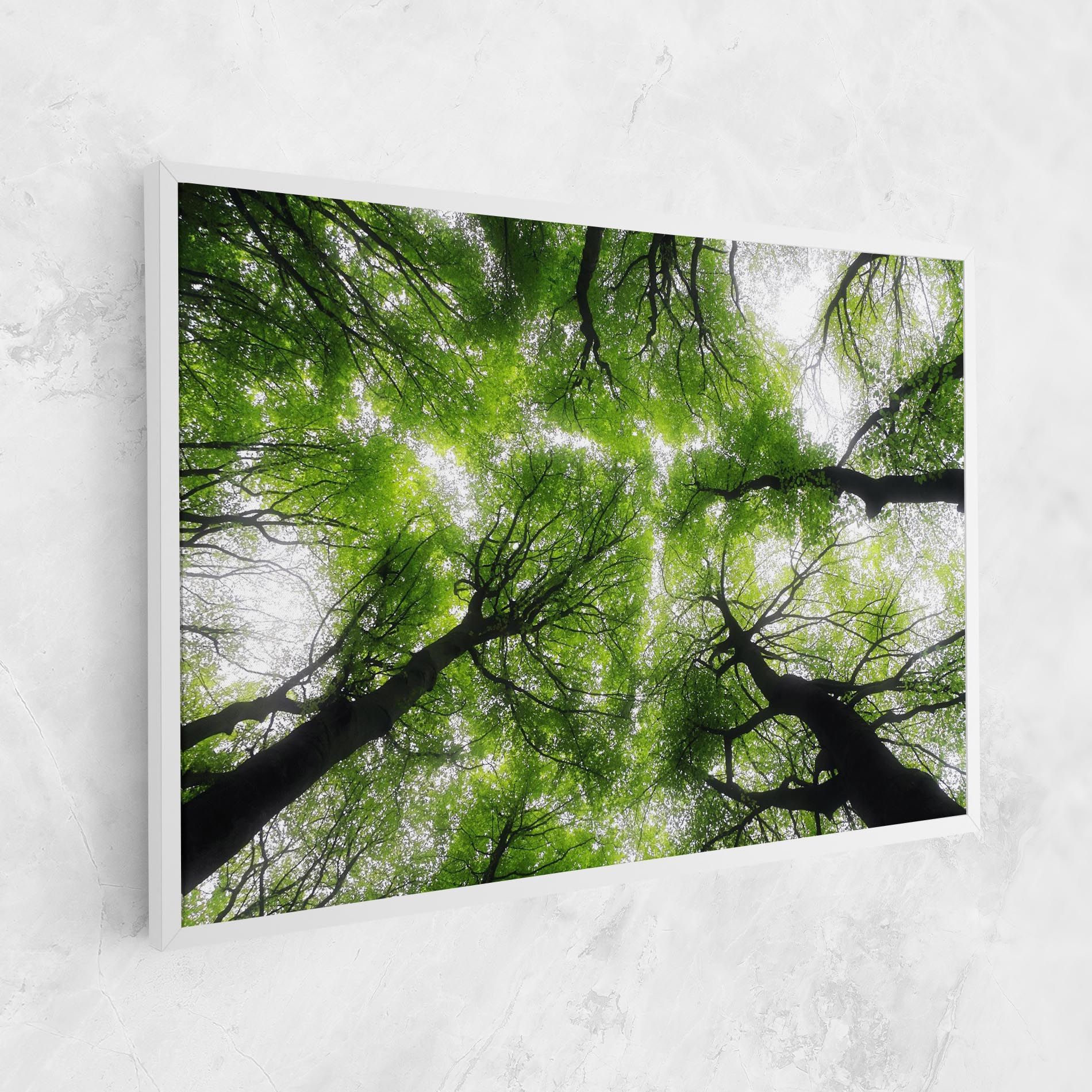 Forest Green Tree mockup 1