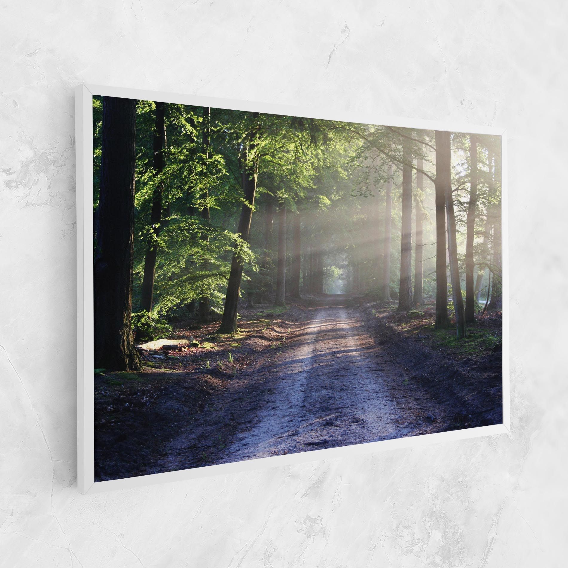 Forest Road mockup 1