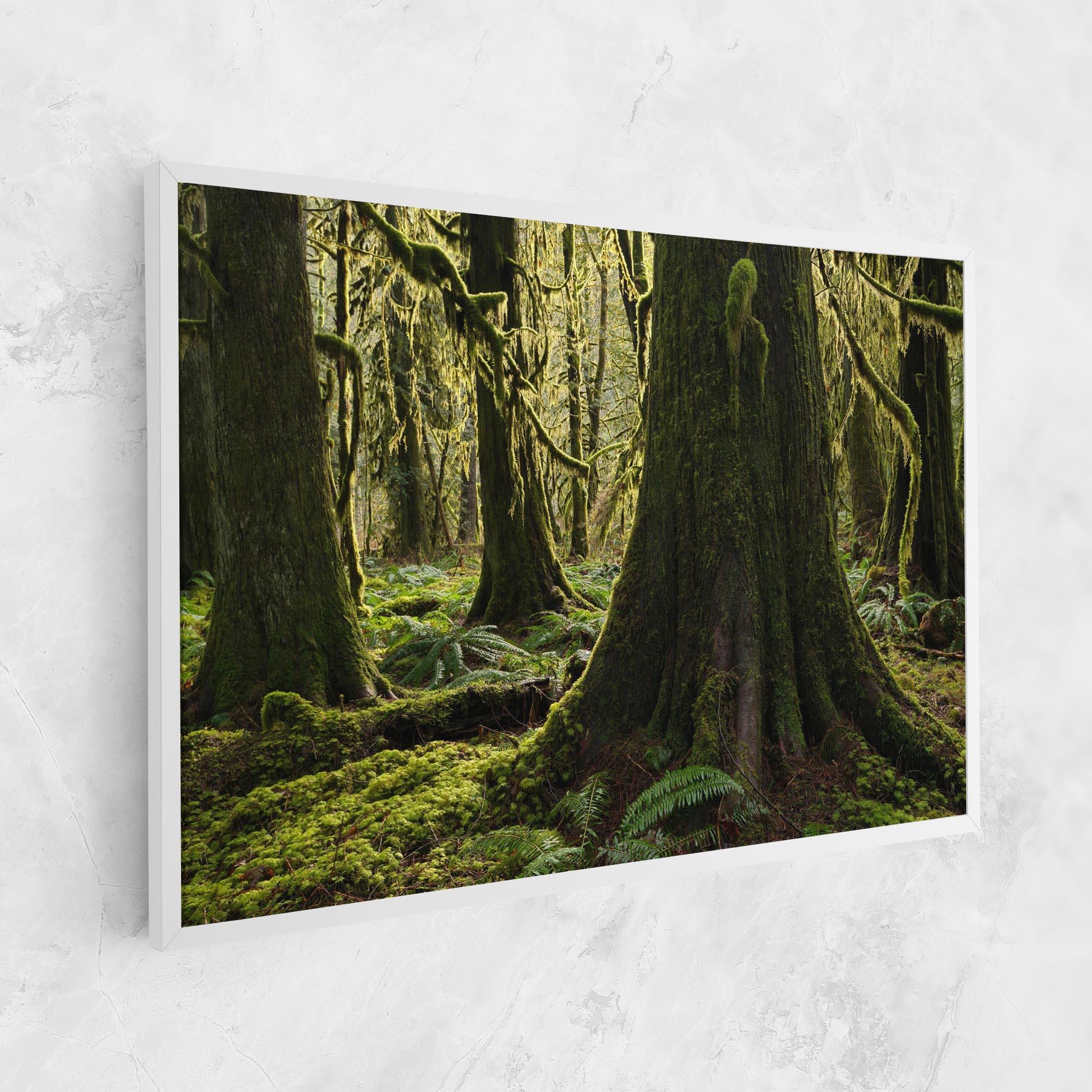 Картина на платно Green Moss Forest mockup 1