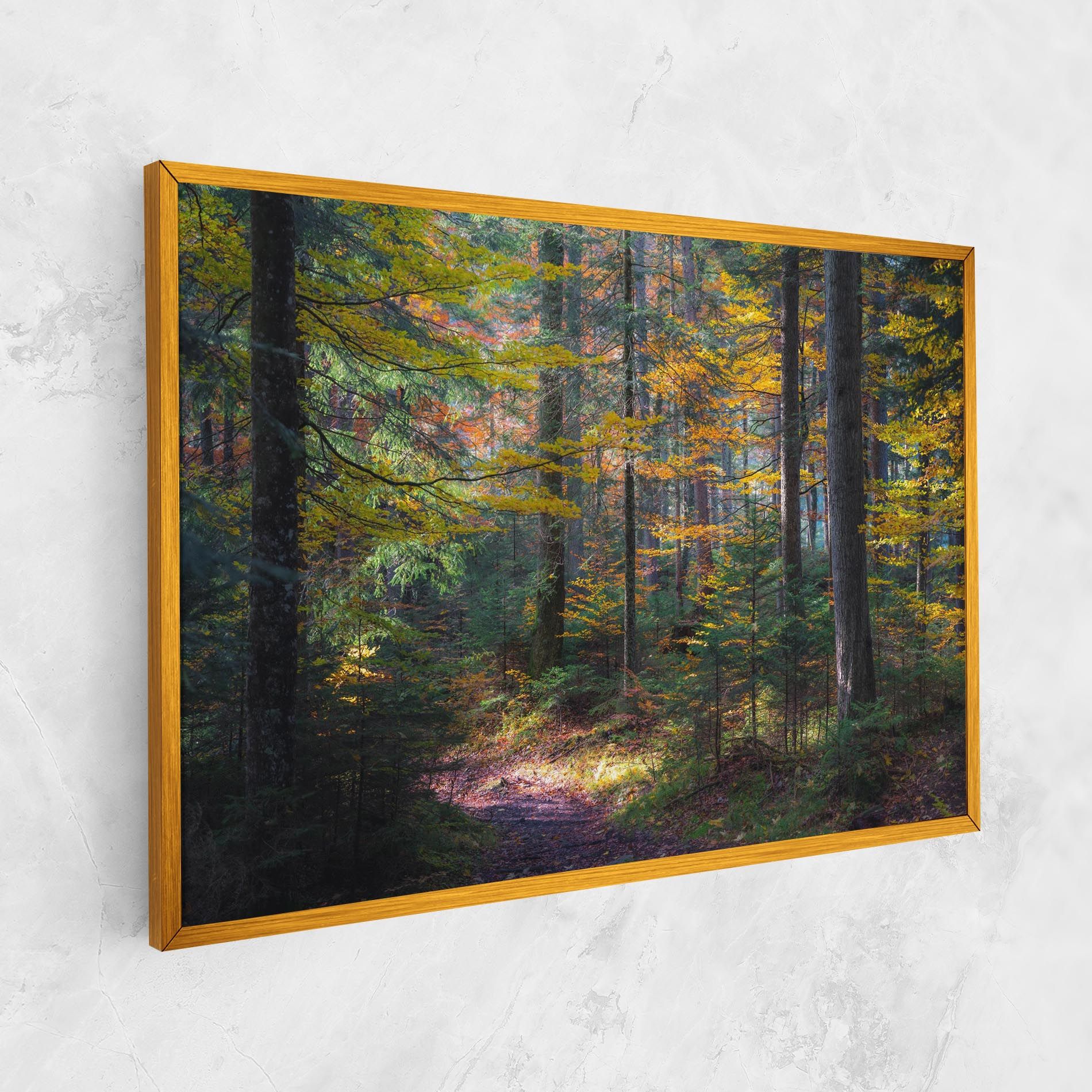 Dreamy Path Dorest mockup 1