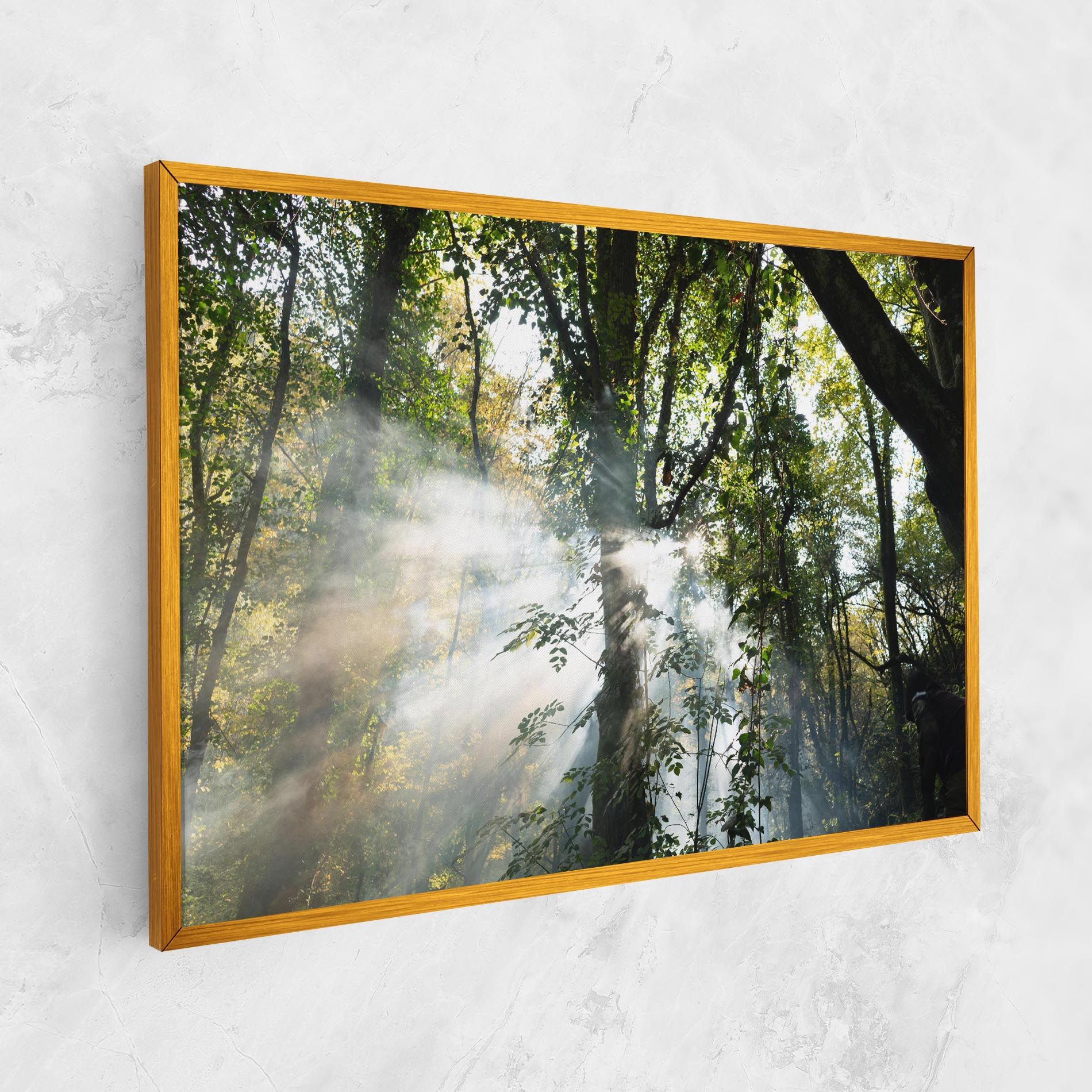 Foggy Light Forest mockup 1