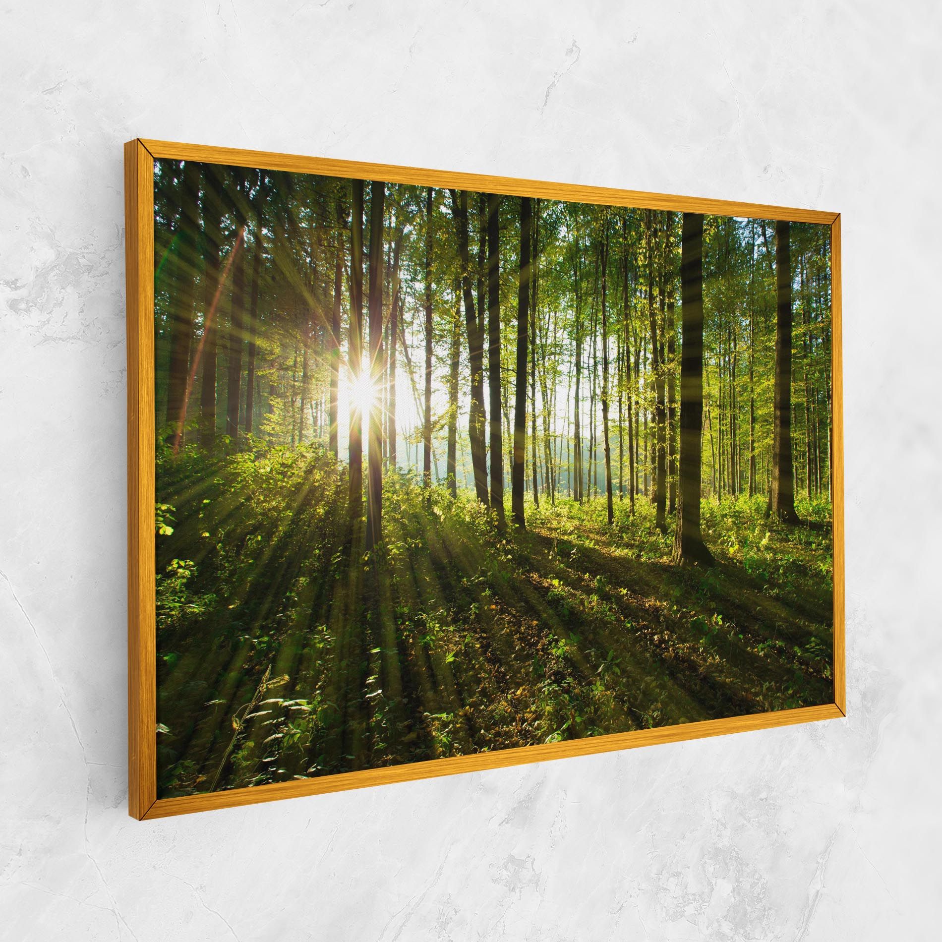 Green Light Forest mockup 1