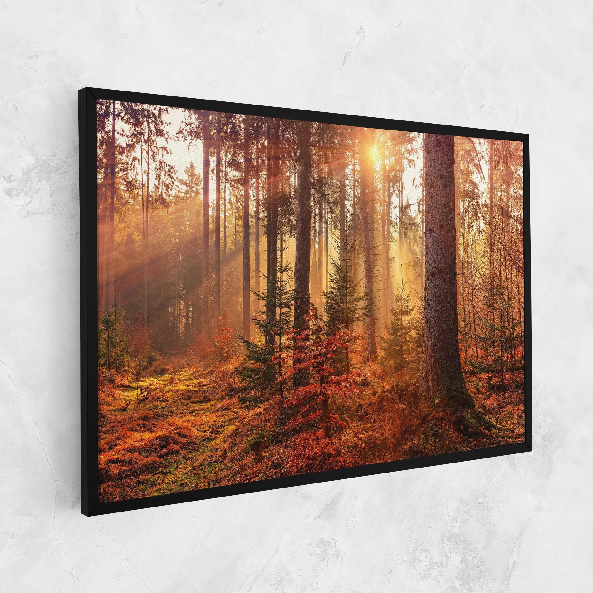Orange Light Forest mockup 1