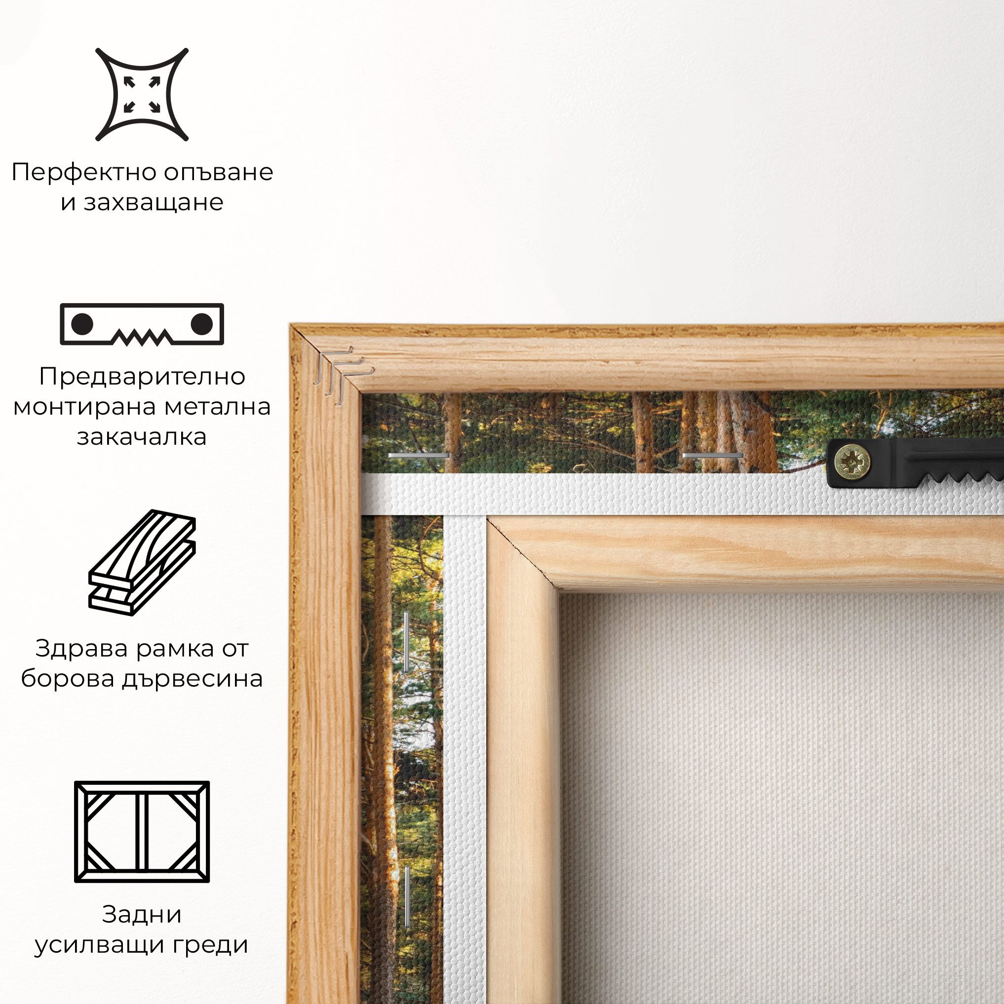 Big Trees Forest mockup 5