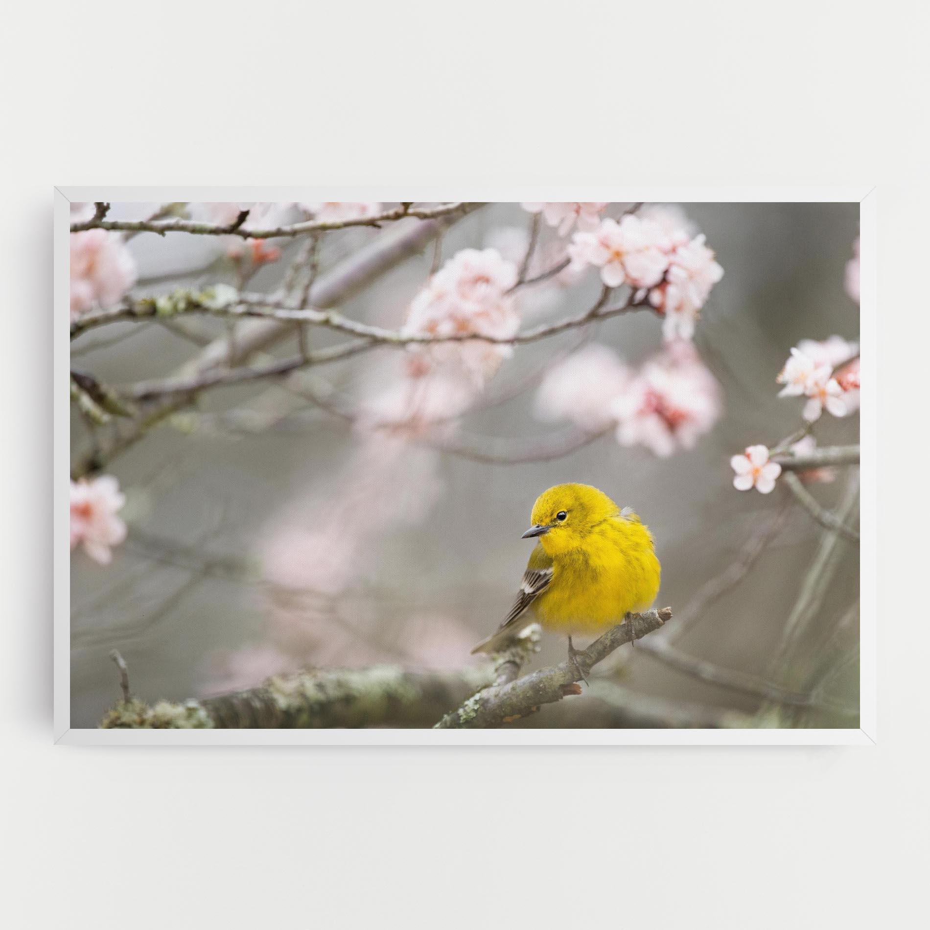 Картина на платно Pretty Spring Yellow Bird mockup 0