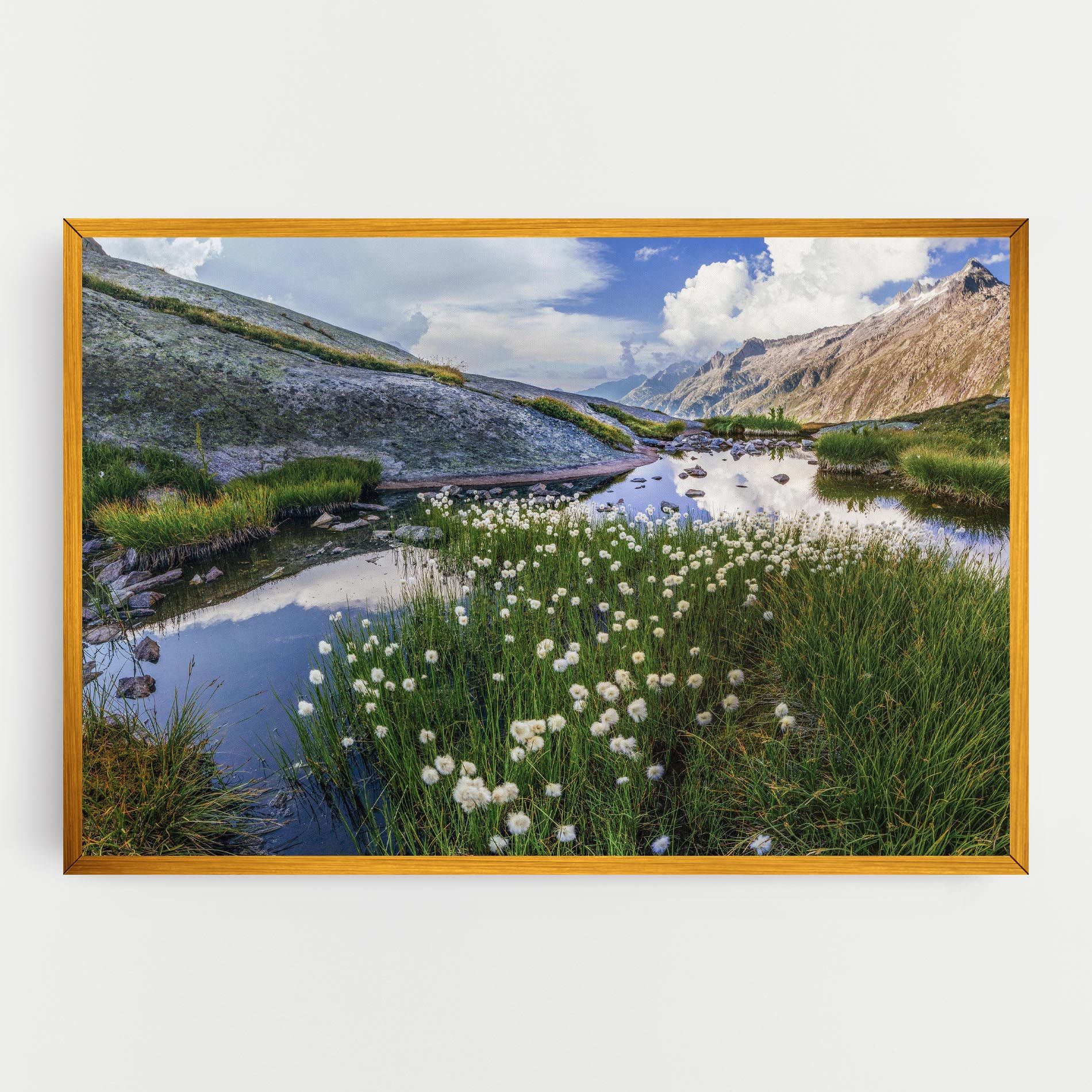 Lake Spring View mockup 0