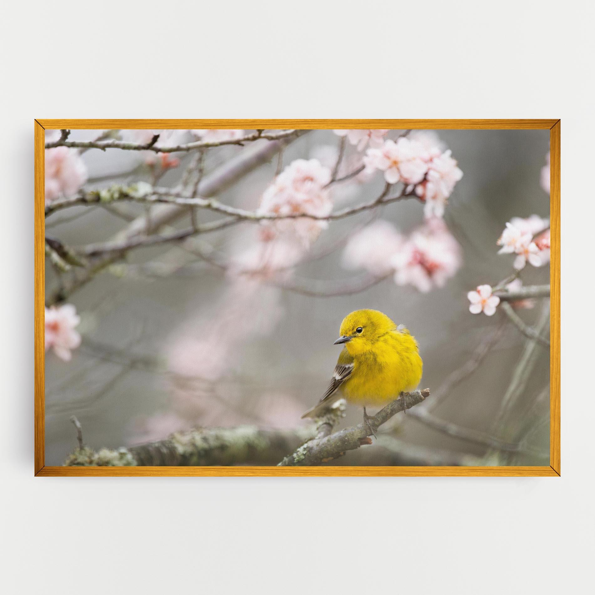 Картина на платно Pretty Spring Yellow Bird mockup 0