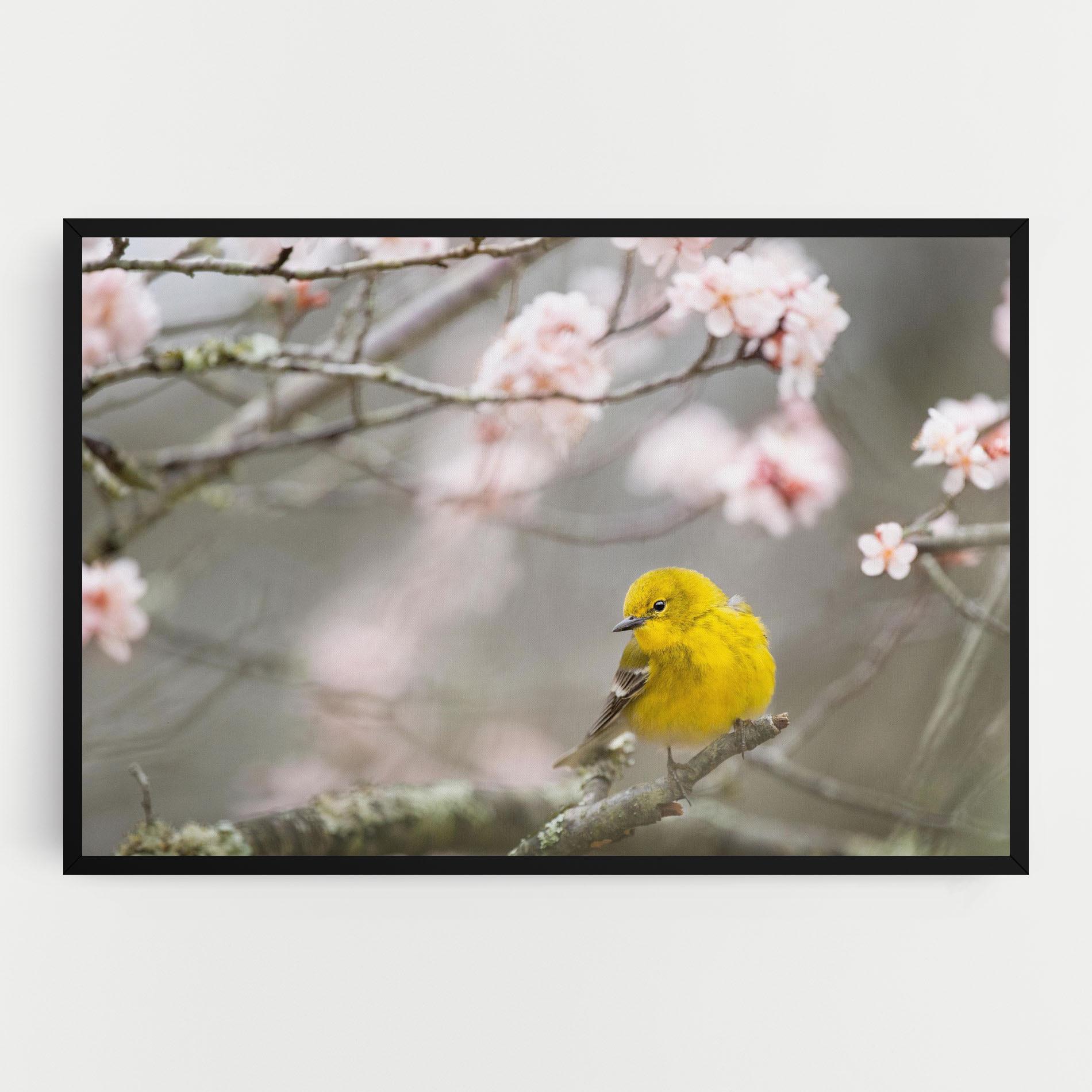 Картина на платно Pretty Spring Yellow Bird mockup 0
