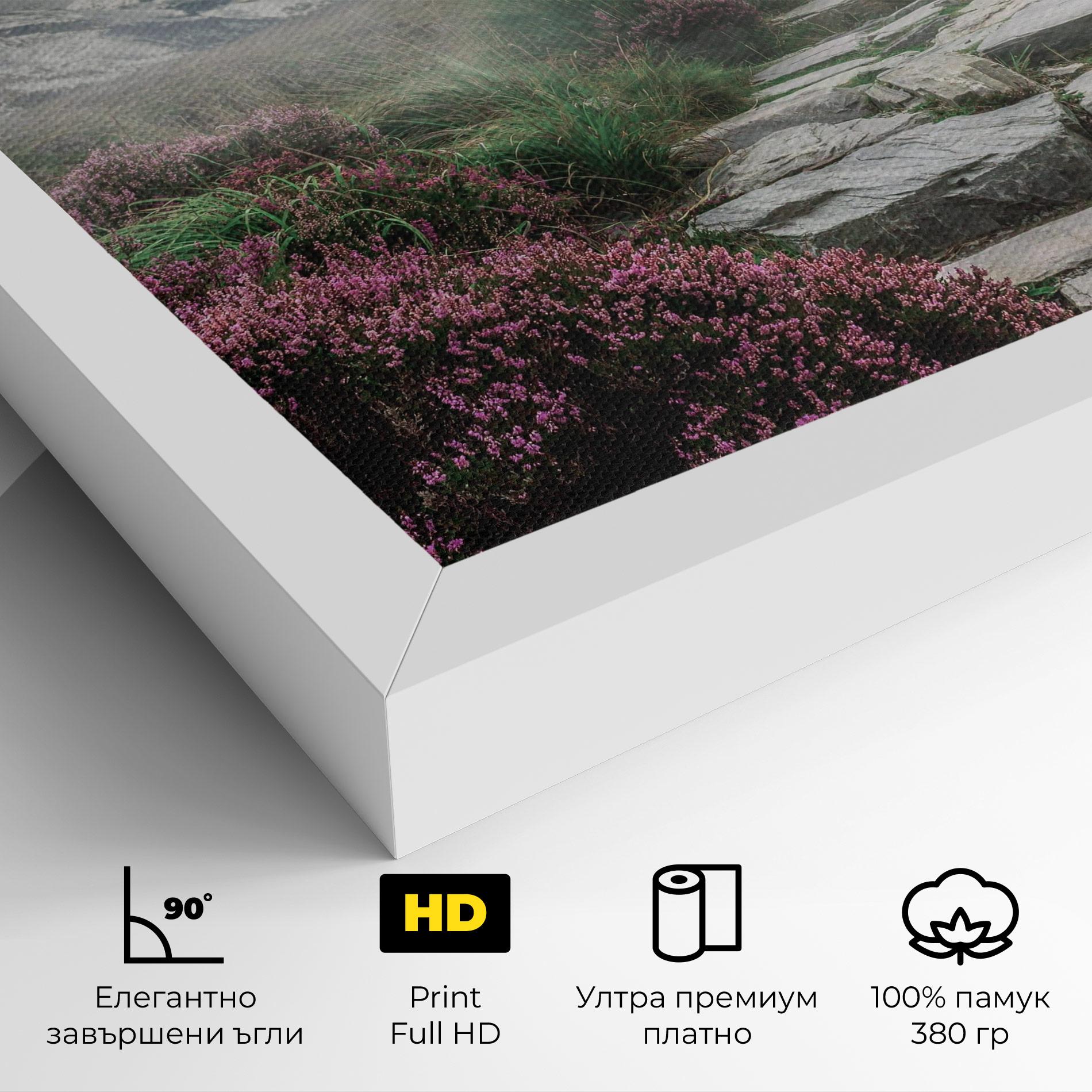 Картина на платно Mountain Spring View mockup 4