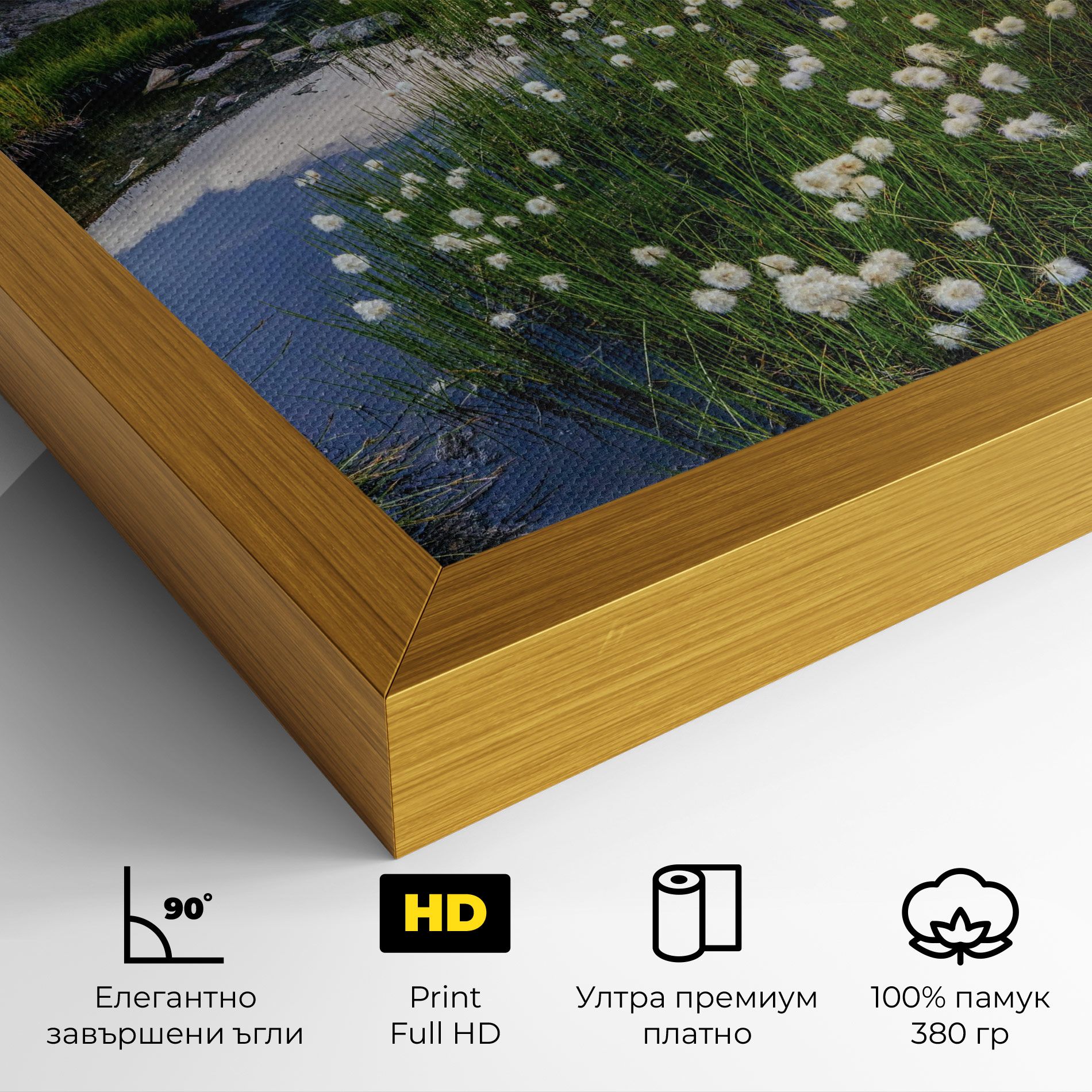Lake Spring View mockup 4