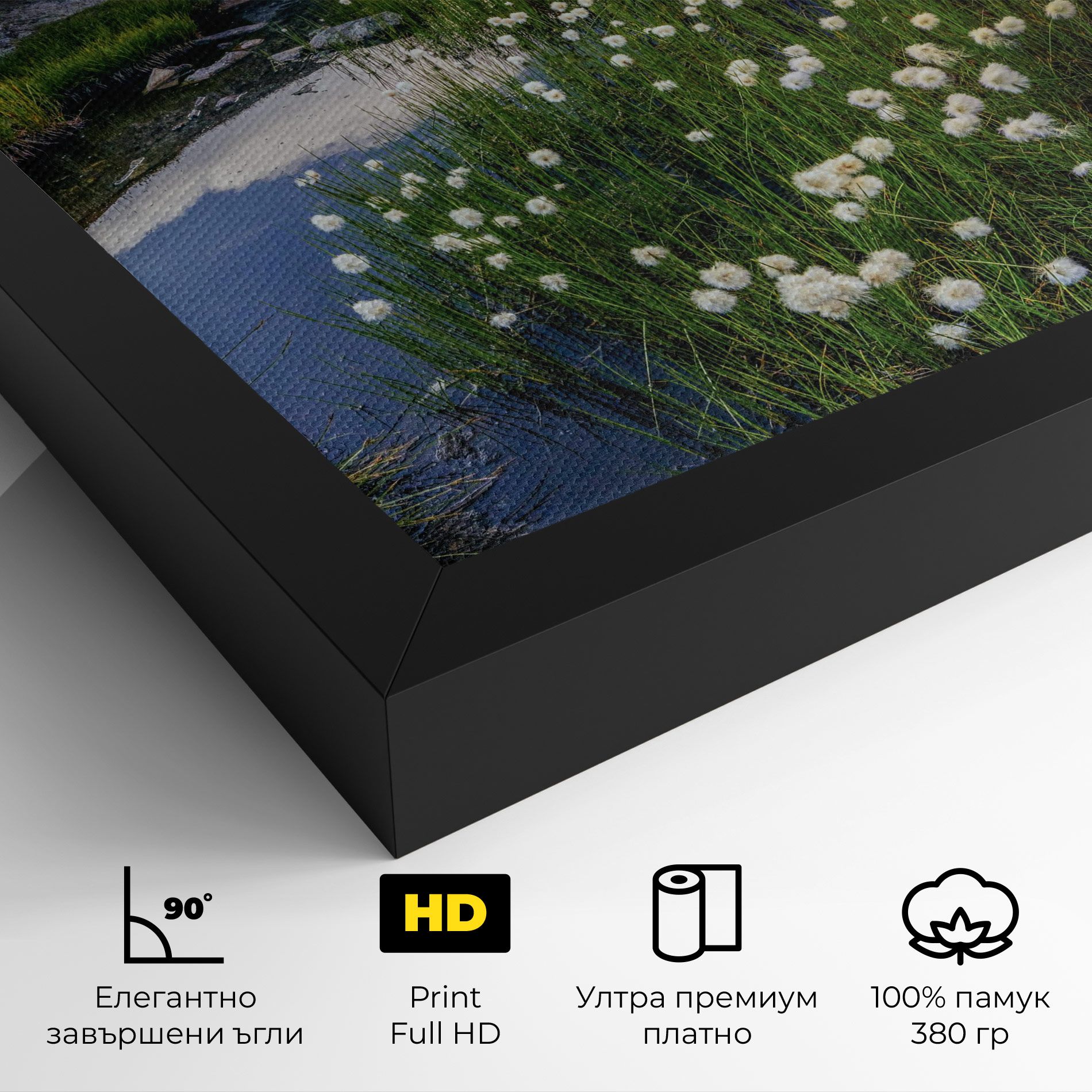 Lake Spring View mockup 4