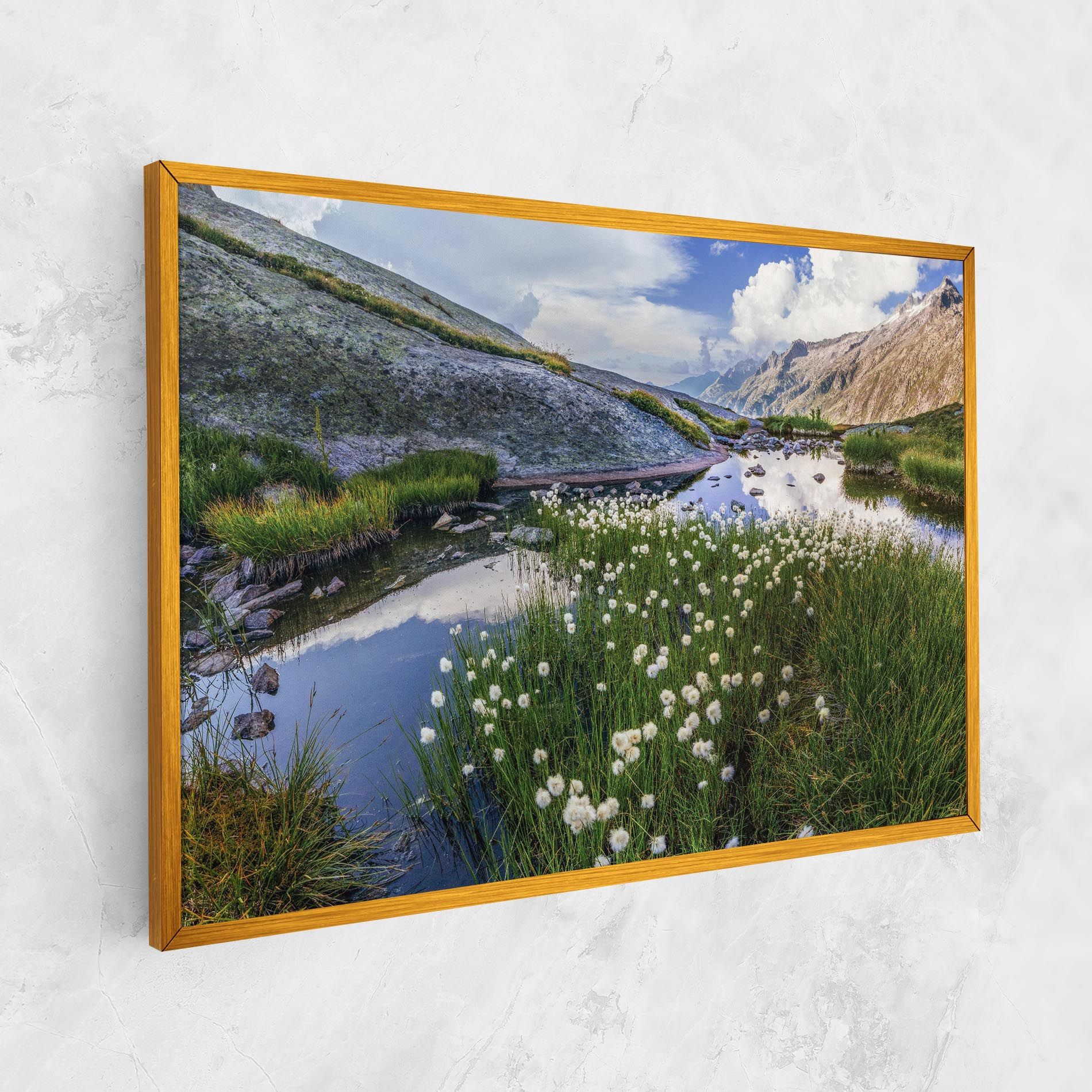 Lake Spring View mockup 1